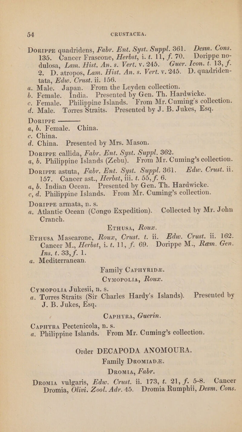 Dorper quadridens, Fabr. Ent. Syst. Suppl. 361. Desm. Cons. 135. Cancer Frascone, Herbst, i.t. 11, f.70. _Dorippe no- dulosa, Lam. Hist. An. s. Vert. v.245. Guer. Icon. t. 18, Le 2. D. atropos, Lam. Hist. An. s. Vert. v. 245. D. quadriden- tata, Edw. Crust. ii. 156. a. Male. Japan. From the Leyden collection. b. Female. India. Presented by Gen. Th. Hardwicke. c. Female. Philippine Islands. From Mr. Cuming’s collection. d. Male. Torres Straits. Presented by J. B. Jukes, Esq. DorIpre a,b. Female. China. c. China. d. China. Presented by Mrs. Mason. Doripre callida, Fabr. Ent. Syst. Suppl. 362. a, b. Philippine Islands (Zebu). From Mr. Cuming’s collection. Dorie astuta, Fabr. Ent. Syst. Suppl. 361. Edw. Crust. ii. 157. Cancer ast., Herbst, iii. t. 55, f. 6. a, b. Indian Ocean. Presented by Gen. Th. Hardwicke. c,d. Philippine Islands. From Mr. Cuming’s collection. DoripPE armata, 0. s. a, Atlantic Ocean (Congo Expedition). Collected by Mr. John Cranch. Eruusa, Rous. Eruusa Mascarone, Roux, Crust. t. ii. Edw. Crust. ii. 162. Cancer M., Herbst, i. t. 11, f. 69. Dorippe M., Rem. Gen. Ins, t. 33, f. 1. a. Mediterranean. Family CaPHYRIDZ. Cymopouia, Roux. Cymopo.ia Jukesii, n. Ss. a. Torres Straits (Sir Charles Hardy’s Islands). Presented by J. B. Jukes, Esq. Capuyra, Guerin. Capuyra Pectenicola, n. s. a. Philippine Islands. From Mr. Cuming’s collection. Order DECAPODA ANOMOURA. Family DromiaD&. Dromia, Fabr. Drom1a vulgaris, Edw. Crust. ii. 173, t. 21, f. 5-8. Cancer Dromia, Olivi. Zool. Adr.45. Dromia Rumphii, Desm. Cons.
