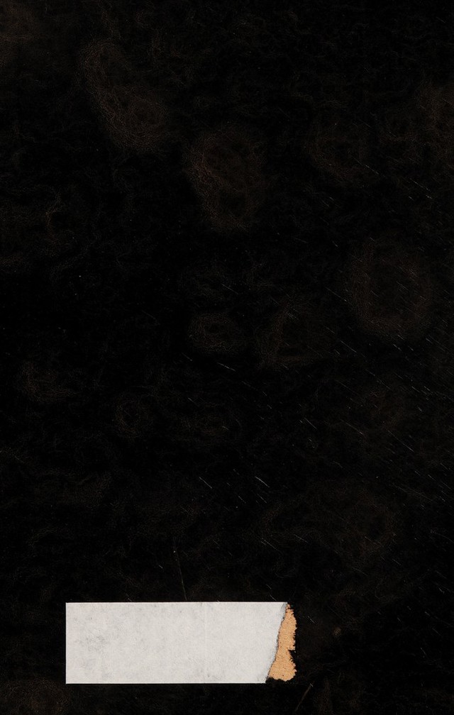 digitised image 2