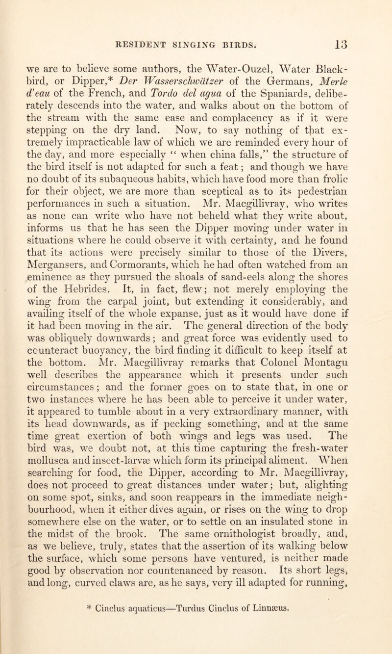 we are to believe some authors, the Water-Ouzel, Water Black- bird, or Dipper,* Der Wasserschwatzer of the Germans, Merle d’eau of the French, and Tordo del agua of the Spaniards, delibe- rately descends into the water, and walks about on the bottom of the stream with the same ease and complacency as if it were stepping on the dry land. Now, to say nothing of that ex- tremely impracticable law of which we are reminded every hour of the day, and more especially “ when china falls,” the structure of the bird itself is not adapted for such a feat; and though we have no doubt of its subaqueous habits, which have food more than frolic for their object, we are more than sceptical as to its pedestrian performances in such a situation. Mr. Macgillivray, who writes as none can write who have not beheld what they write about, informs us that he has seen the Dipper moving under water in situations where he could observe it with certainty, and he found that its actions were precisely similar to those of the Divers, Mergansers, and Cormorants, which he had often watched from an eminence as they pursued the shoals of sand-eels along the shores of the Hebrides. It, in fact, flew; not merely employing the wing from the carpal joint, but extending it considerably, and availing itself of the whole expanse, just as it would have done if it had been moving in the air. The general direction of the body was obliquely downwards; and great force was evidently used to counteract buoyancy, the bird finding it difficult to keep itself at the bottom. Mr. Macgillivray remarks that Colonel Montagu wTell describes the appearance which it presents under such circumstances; and the former goes on to state that, in one or two instances where he has been able to perceive it under water, it appeared to tumble about in a very extraordinary manner, with its head downwards, as if pecking something, and at the same time great exertion of both wings and legs was used. The bird was, we doubt not, at this time capturing the fresh-w’ater mollusca and insect-larvse which form its principal aliment. When searching for food, the Dipper, according to Mr. Macgillivray, does not proceed to great distances under water; but, alighting on some spot, sinks, and soon reappears in the immediate neigh- bourhood, when it either dives again, or rises on the wing to drop somewhere else on the water, or to settle on an insulated stone in the midst of the brook. The same ornithologist broadly, and, as we believe, truly, states that the assertion of its walking below the surface, which some persons have ventured, is neither made good by observation nor countenanced by reason. Its short legs, and long, curved claws are, as he says, very ill adapted for running. * Cinclus aquaticus—Turdus Cinclus of Linnaeus.