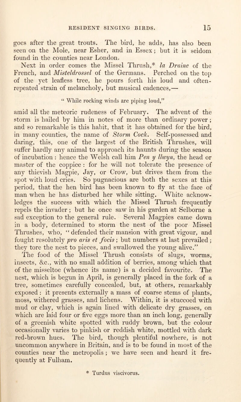 goes after the great trouts. The bird, he adds, has also been seen on the Mole, near Esher, and in Essex; but it is seldom found in the counties near London. Next in order comes the Missel Thrush,* la Draine of the French, and Misteldrossel of the Germans. Perched on the top of the yet leafless tree, he pours forth his loud and often - repeated strain of melancholy, but musical cadences,— “ While rocking winds are piping loud/’ amid all the meteoric rudeness of February. The advent of the storm is hailed by him in notes of more than ordinary power ; and so remarkable is this habit, that it has obtained for the bird, in many counties, the name of Storm Cock. Self-possessed and daring, this, one of the largest of the British Thrushes, will suffer hardly any animal to approach its haunts during the season of incubation : hence the Welsh call him Pen y llwyn, the head or master of the coppice : for he will not tolerate the presence of any thievish Magpie, Jay, or Crow, but drives them from the spot with loud cries. So pugnacious are both the sexes at this period, that the hen bird has been known to fly at the face of man when he has disturbed her while sitting. White acknow- ledges the success with which the Missel Thrush frequently repels the invader; but he once saw in his garden at Selborne a sad exception to the general rule. Several Magpies came down in a body, determined to storm the nest of the poor Missel Thrushes, who, “ defended their mansion with great vigour, and fought resolutely pro aris et focis ; but numbers at last prevailed ; they tore the nest to pieces, and swallowed the young alive/' The food of the Missel Thrush consists of slugs, worms, insects, &c., with no small addition of berries, among which that of the misseltoe (whence its name) is a decided favourite. The nest, which is begun in April, is generally placed in the fork of a tree, sometimes carefully concealed, but, at others, remarkably exposed : it presents externally a mass of coarse stems of plants, moss, withered grasses, and lichens. Within, it is stuccoed with mud or clay, which is again lined with delicate dry grasses, on which are laid four or five eggs more than an inch long, generally of a greenish white spotted with ruddy brown, but the colour occasionally varies to pinkish or reddish white, mottled with dark red-brown hues. The bird, though plentiful nowhere, is not uncommon anywhere in Britain, and is to be found in most of the counties near the metropolis ; we have seen and heard it fre- quently at Fulham. * Turdus viscivorus.