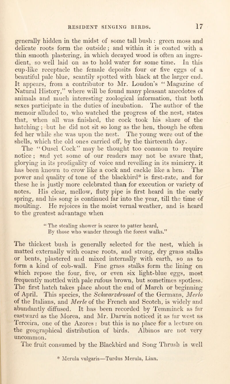 generally hidden in the midst of some tall bush : green moss and delicate roots form the outside ; and within it is coated with a thin smooth plastering, in which decayed wood is often an ingre- dient, so well laid on as to hold water for some time. In this cup-like receptacle the female deposits four or five eggs of a beautiful pale blue, scantily spotted with black at the larger end. It appears, from a contributor to Mr. Loudon’s “ Magazine of Natural History,” where will be found many pleasant anecdotes of animals and much interesting zoological information, that both sexes participate in the duties of incubation. The author of the memoir alluded to, who watched the progress of the nest, states that, when all was finished, the cock took his share of the hatching ; but he did not sit so long as the hen, though he often fed her while she was upon the nest. The young wrere out of the shells, which the old ones carried off, by the thirteenth day. The “Ousel Cock” maybe thought too common to require notice ; and yet some of our readers may not be aware that, glorying in its prodigality of voice and revelling in its mimicry, it has been known to crow like a cock and cackle like a hen. The power and quality of tone of the blackbird* is first-rate, and for these he is justly more celebrated than for execution or variety of notes. His clear, mellow, fluty pipe is first heard in the early spring, and his song is continued far into the year, till the time of moulting. He rejoices in the moist vernal weather, and is heard to the greatest advantage when “ The stealing shower is scarce to patter heard, By those who wander through the forest walks.’' The thickest bush is generally selected for the nest, which is matted externally with coarse roots, and strong, dry grass stalks or bents, plastered and mixed internally with earth, so as to form a kind of cob-wall. Fine grass stalks form the lining on which repose the four, five, or even six light-blue eggs, most frequently mottled with pale rufous brown, but sometimes spotless. The first hatch takes place about the end of March or beginning of April. This species, the Schwarzdrossel of the Germans, Merlo of the Italians, and Merle of the French and Scotch, is widely and abundantly diffused. It has been recorded by Temminck as far eastward as the Morea, and Mr. Darwin noticed it as far west as Terceira, one of the Azores : but this is no place for a lecture on the geographical distribution of birds. Albinos are not very uncommon. The fruit consumed by the Blackbird and Song Thrush is well * Merula vulgaris—Turdus Merula, Linn.