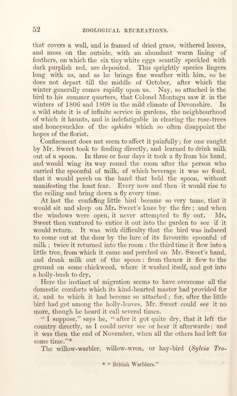 that covers a wall, and is framed of dried grass, withered leaves, and moss on the outside, with an abundant warm lining of feathers, on which the six tiny white eggs scantily speckled with dark purplish red, are deposited. This sprightly species lingers long with us, and as he brings fine weather with him, so he does not depart till the middle of October, after which the winter generally comes rapidly upon us. Nay, so attached is the bird to his summer quarters, that Colonel Montagu saw it in the winters of 1806 and 1808 in the mild climate of Devonshire. In a wild state it is of infinite service in gardens, the neighbourhood of which it haunts, and is indefatigable in clearing the rose-trees and honeysuckles of the aphides which so often disappoint the hopes of the florist. Confinement does not seem to affect it painfully; for one caught by Mr. Sweet took to feeding directly, and learned to drink milk out of a spoon. In three or four days it took a fly from his hand, and would wing its way round the room after the person who carried the spoonful of milk, of which beverage it was so fond, that it would perch on the hand that held the spoon, without manifesting the least fear. Every now and then it would rise to the ceiling and bring down a fly every time. At last the confiding little bird became so very tame, that it would sit and sleep on Mr, Sweet's knee by the fire; and when the windows were open, it never attempted to fly out. Mr. Sweet then ventured to entice it out into the garden to see if it would return. It was with difficulty that the bird was induced to come out at the door by the lure of its favourite spoonful of mills.; twice it returned into the room : the third time it flew into a little tree, from which it came and perched on Mr. Sweet’s hand, and drank milk out of the spoon: from thence it flew to the ground on some chickweed, where it washed itself, and got into a holly-bush to dry. Here the instinct of migration seems to have overcome all the domestic comforts which its kind-hearted master had provided for it, and to which it had become so attached ; for, after the little bird had got among the holly-leaves, Mr. Sweet could see it no more, though he heard it call several times. “ I suppose,” says he, “ after it got quite dry, that it left the country directly, as I could never see or hear it afterwards; and it was then the end of November, when all the others had left for some time.”* The willow-warbler, willow-wren, or hay-bird (Sylvia Tro- * “ British Warblers.”