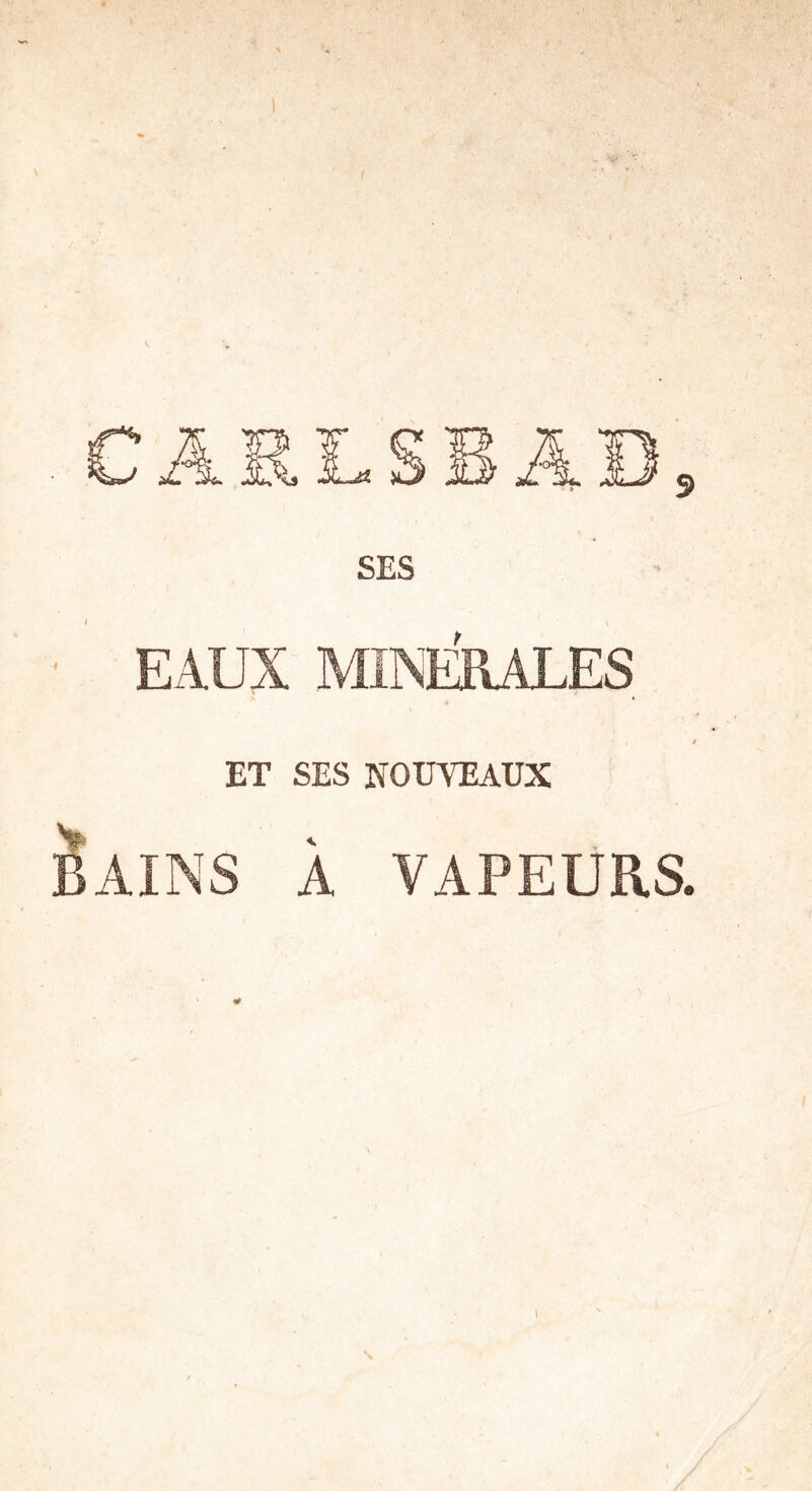 SES ■ EAUX MINERALES ! ET SES NOUVEAUX AINS À VAPEURS.