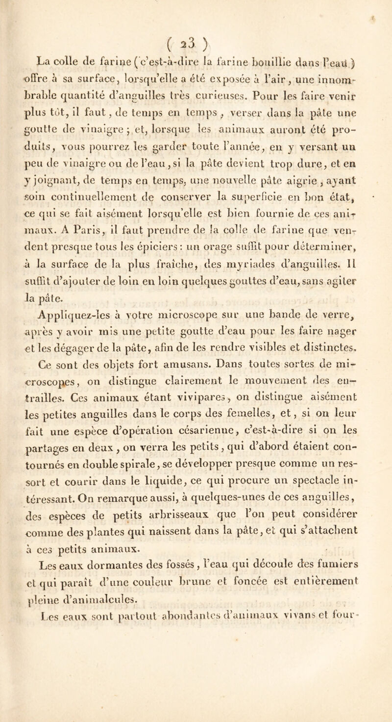 ( >3 ) La colle de farine ( c’est-à-dire !a farine bouillie dans Feaü ) -offre à sa surface, lorsqu’elle a été exposée à Fair, une innom- brable quantité d’anguilles très curieuses. Pour les faire venir plus tôt, il faut, de temps en temps , verser dans la pâte une goutte de vinaigre; et, lorsque les animaux auront été pro- duits, vous pourrez les garder toute Fannée, en y versant un peu de vinaigre ou de l’eau,si la pâte devient trop dure, et en y joignant, de temps en temps, une nouvelle pâte aigrie , ayant soin continuellement de conserver la superficie en bon état, ce qui se fait aisément lorsqu’elle est bien fournie de ces anii» maux. A Paris, il faut prendre de la colle de farine que ven- dent presque tous les épiciers : un orage suffit pour déterminer, à la surface de la plus fraîche, des myriades d’anguilles. Il suffit d’ajouter de loin en loin quelques gouttes d’eau, sans agiter la pâte. Appliquez-ies à votre microscope sur une bande de verre, après y avoir mis une petite goutte d’eau pour les faire nager et les dégager de la pâte, afin de les rendre visibles et distinctes. Ce sont des objets fort amusans. Dans toutes sortes de mi- croscopes, on distingue clairement le mouvement des en- trailles. Ces animaux étant vivipares, on distingue aisément les petites anguilles dans le corps des femelles, et, si on leur fait une espèce d’opération césarienne, c’est-à-dire si on les partages en deux , on verra les petits, qui d’abord étaient con- tournés en double spirale, se développer presque comme un res- sort et courir dans le liquide, ce qui procure un spectacle in- téressant. On remarque aussi, à quelques-unes de ces anguilles, des espèces de petits arbrisseaux que l’on peut considérer connue des plantes qui naissent dans la pâte, et qui s attachent à ces petits animaux. Les eaux dormantes des fossés, Feau qui découle clés fumiers cl qui paraît d’une couleur brune et foncée est entièrement pleine d’animalcules. Les eaux sont partout abondantes d’animaux vivanset four-