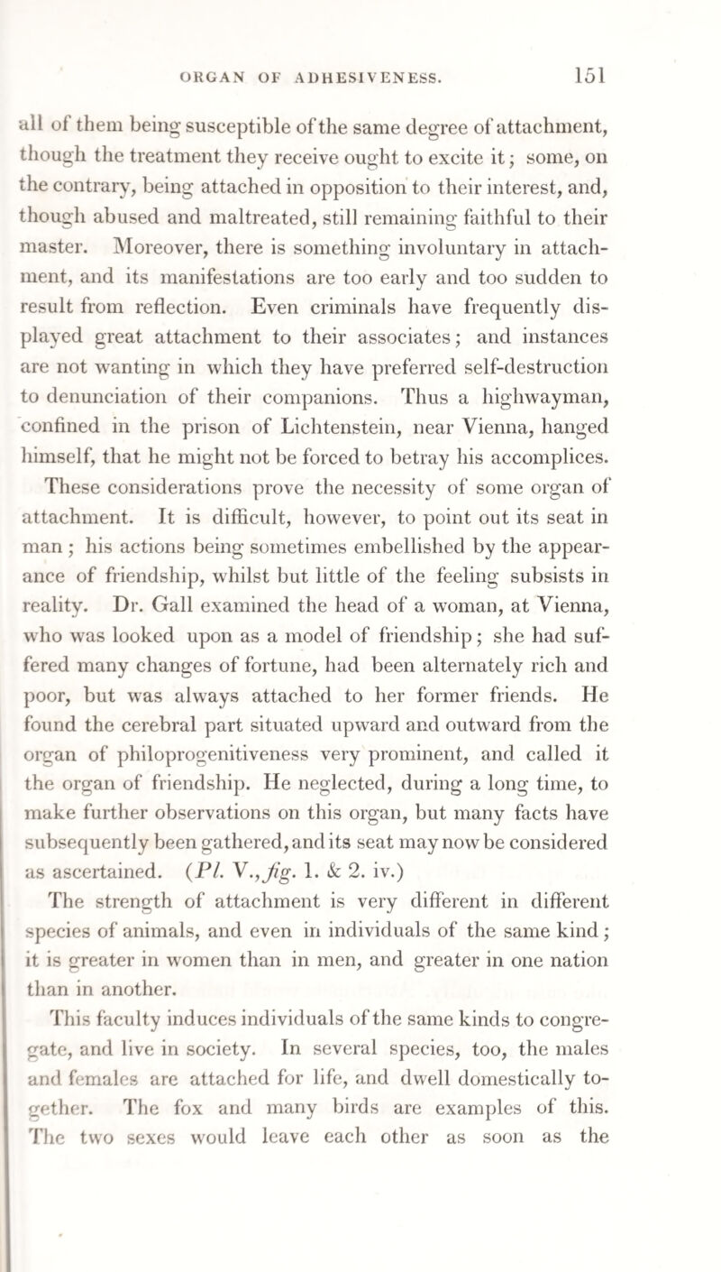 all of them being susceptible of the same degree of attachment, though the treatment they receive ought to excite it; some, on the contrary, being attached in opposition to their interest, and, though abused and maltreated, still remaining faithful to their master. Moreover, there is something involuntary in attach¬ ment, and its manifestations are too early and too sudden to result from reflection. Even criminals have frequently dis¬ played great attachment to their associates; and instances are not wanting in which they have preferred self-destruction to denunciation of their companions. Thus a highwayman, confined in the prison of Lichtenstein, near Vienna, hanged himself, that he might not be forced to betray his accomplices. These considerations prove the necessity of some organ of attachment. It is difficult, however, to point out its seat in man ; his actions being sometimes embellished by the appear¬ ance of friendship, whilst but little of the feeling subsists in reality. Dr. Gall examined the head of a woman, at Vienna, who was looked upon as a model of friendship; she had suf¬ fered many changes of fortune, had been alternately rich and poor, but was always attached to her former friends. He found the cerebral part situated upward and outward from the organ of philoprogenitiveness very prominent, and called it the organ of friendship. He neglected, during a long time, to make further observations on this organ, but many facts have subsequently been gathered, and its seat may now be considered as ascertained. (PL 1. & 2. iv.) The strength of attachment is very different in different species of animals, and even in individuals of the same kind; it is greater in women than in men, and greater in one nation than in another. This faculty induces individuals of the same kinds to congre¬ gate, and live in society. In several species, too, the males and females are attached for life, and dwell domestically to¬ gether. The fox and many birds are examples of this. The two sexes would leave each other as soon as the