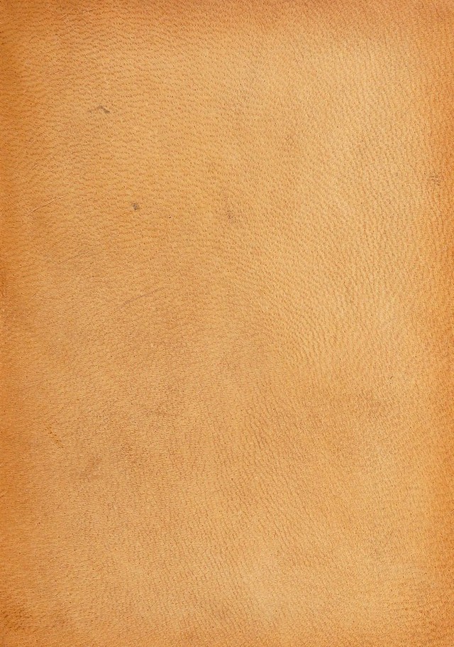 No text description is available for this image