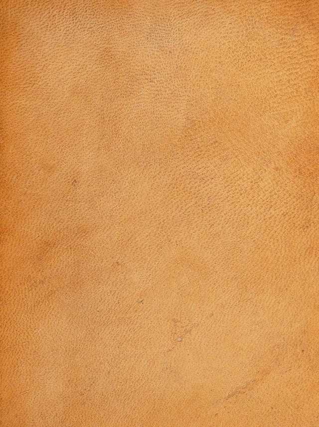 No text description is available for this image