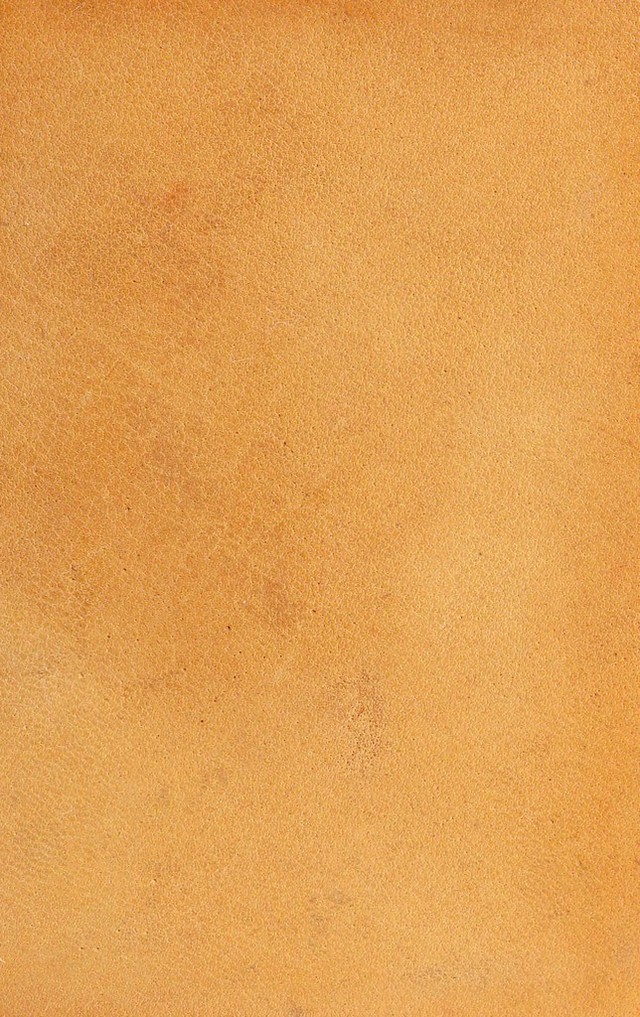 No text description is available for this image