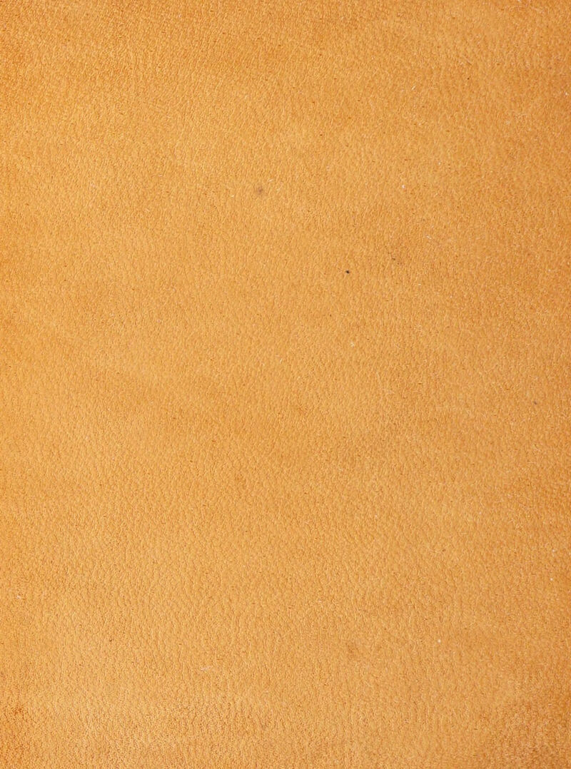 '• H's ' '/ ‘  '0^ 'Vi ,^ ; ', ,í ^ ^ > , :^\M (iV ,s ^ . M'' ' p .'-' 1 • i'k®