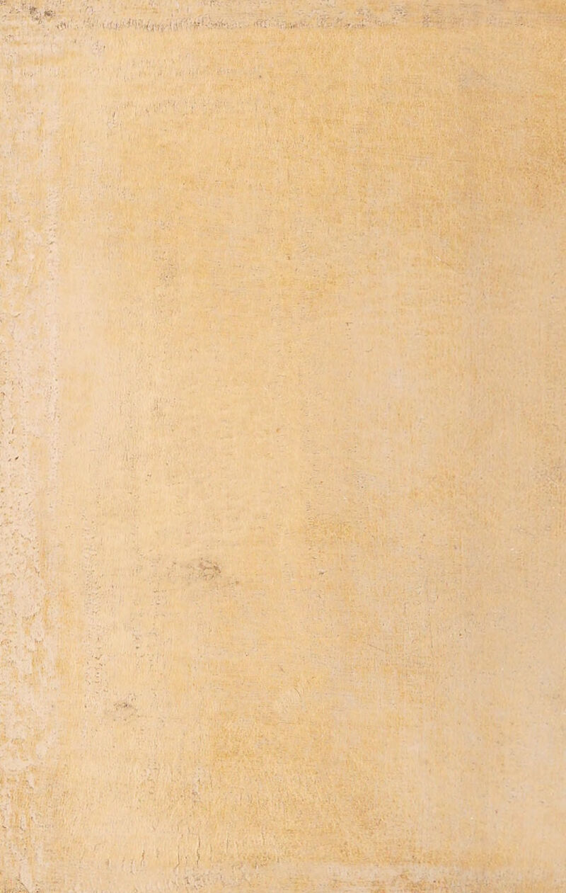  - ■ - & ' '*'■ 'A' '• i ■ - -- ■ ‘ ' V't'1 i - ‘i P . .'«9tS3 •#' i ,yv - ■ ■' ■' : I»i< - - -.M ’V ^ y «V A' I ü • 1 ■ ■-..■••i r**. 1 ¿i'\ ■ ' . < n v.. i.-j ‘ ' ‘ •» . v i . • f . < y.) ■ v ' ' Sé vtó,;.