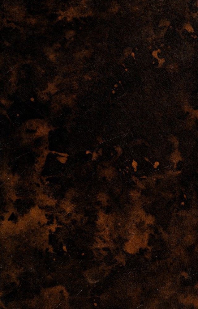 digitised image 1