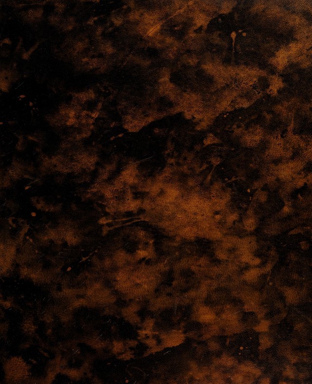 digitised image 1