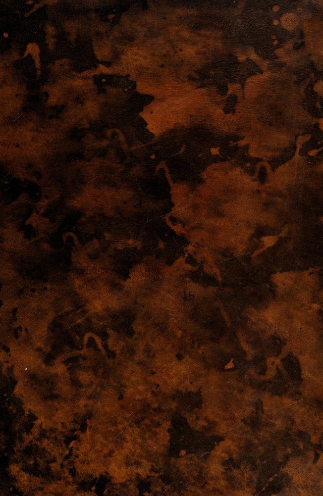 digitised image 1