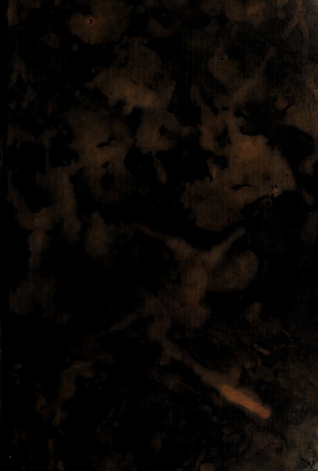 digitised image 1