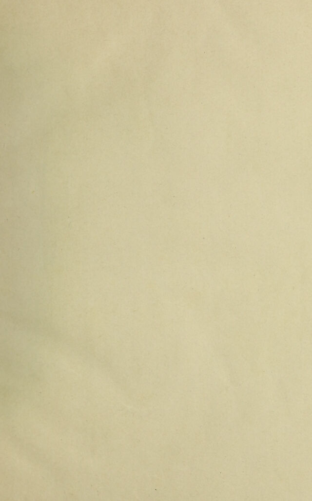 digitised image 3