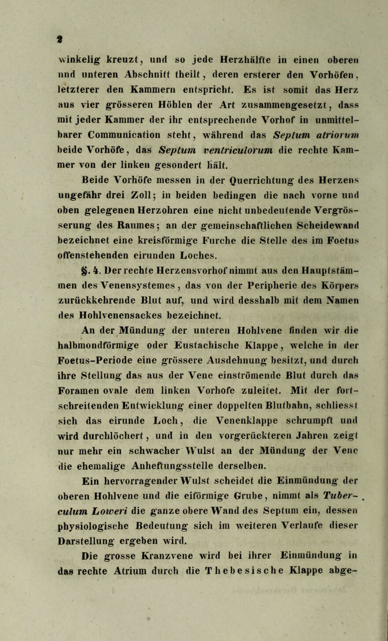 3 winkelig kreuzt, und so jede Herzhälfte in einen oberen und unteren Abschnitt theilt, deren ersterer den Vorhöfen, letzterer den Kammern entspricht. Es ist somit das Herz aus vier grösseren Höhlen der Art zusammengesetzt, dass mit jeder Kammer der ihr entsprechende Vorhof in unmittel¬ barer Communication steht, während das Seplum atriorum beide Vorhöfe, das Seplum ventriculorum die rechte Kam¬ mer von der linken gesondert hält. Beide Vorhöfe messen in der Querrichtung des Herzens ungefähr drei Zoll; in beiden bedingen die nach vorne und oben gelegenen Herzohren eine nicht unbedeutende Vergrös- serung des Raumes; an der gemeinschaftlichen Scheidewand bezeichnet eine kreisförmige Furche die Stelle des im Foetus offenstehenden eirunden Loches. 4. Der rechte Herzensvorhof nimmt aus den Hauptstäm¬ men des Venensysteines, das von der Peripherie des Körpers zurückkehrende Blut auf, und wird desshalb mit dem Namen des Hohlvenensackes bezeichnet. An der Mündung der unteren Hohlvene finden wir die halbmondförmige oder Eustachische Klappe, welche in der Foetus-Periode eine gTössere Ausdehnung besitzt, und durch ihre Stellung das aus der Vene einströmende Blut durch das Foramen ovale dem linken Vorhofe zuleitet. Mit der fort¬ schreitenden Entwicklung einer doppelten Blutbahn, schliessl sich das eirunde Loch, die Venenklappe schrumpft und wird durchlöchert, und in den vorgerückteren Jahren zeigt nur mehr ein schwacher Wulst an der Mündung der Vene die ehemalige Auheftungsstelle derselben. Ein hervorragender Wulst scheidet die Einmündung der oberen Hohlvene und die eiförmige Grube, nimmt als Tuber¬ culum Loweri die ganze obere Wand des Septum ein, dessen physiologische Bedeutung sich im weiteren Verlaufe dieser Darstellung ergeben wird. Die grosse Kranzvene wird bei ihrer Einmündung in das rechte Atrium durch die Thebesische Klappe abge-