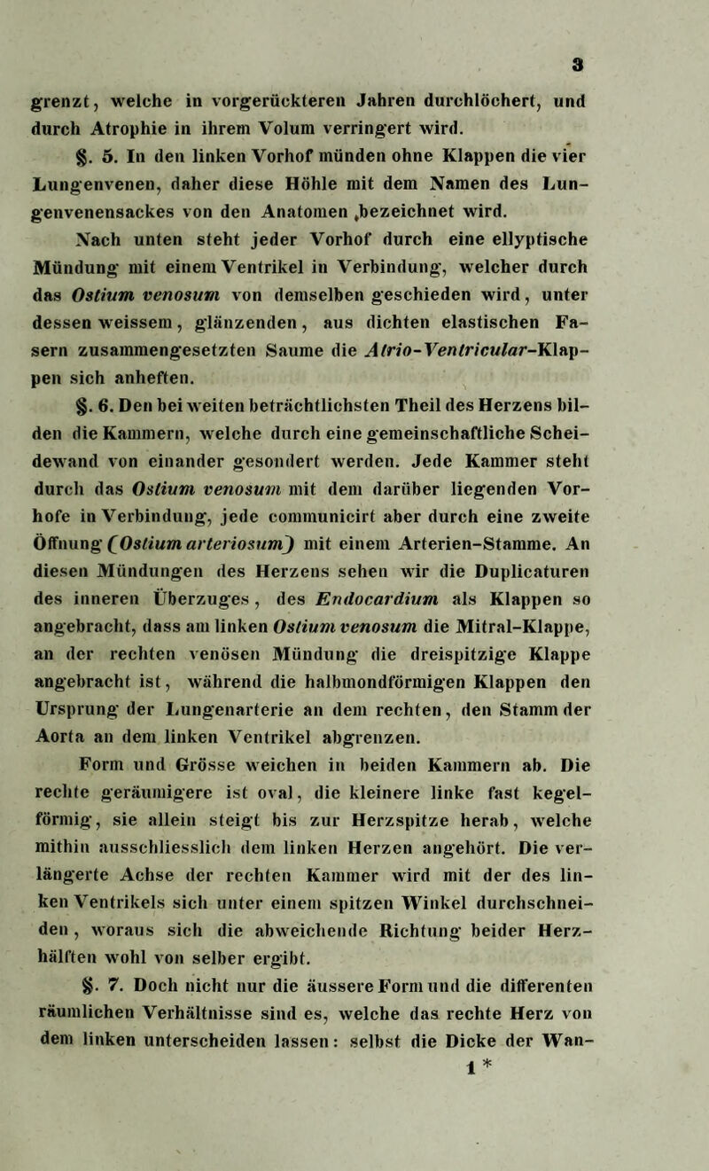 grenzt, welche in vorgerückteren Jahren durchlöchert, und durch Atrophie in ihrem Volum verringert wird. §. 5. In den linken Vorhof münden ohne Klappen die vier Lungenvenen, daher diese Höhle mit dem Namen des Lun¬ genvenensackes von den Anatomen gezeichnet wird. Nach unten steht jeder Vorhof durch eine ellyptische Mündung mit einem Ventrikel in Verbindung, w elcher durch das Ostiurn venosum von demselben geschieden wird, unter dessen w’eissem, glänzenden, aus dichten elastischen Fa¬ sern zusammengesetzten Saume die Alrio-Ventricular-Klap¬ pen sich anheften. §. 6. Den bei weiten beträchtlichsten Theil des Herzens bil¬ den die Kammern, welche durch eine gemeinschaftliche Schei¬ dewand von einander gesondert werden. Jede Kammer steht durch das Oslium venosum mit dem darüber liegenden Vor¬ hofe in Verbindung, jede communicirt aber durch eine zweite Öffnung (Oslium arteriosum^) mit einem Arterien-Stamme. An diesen Mündungen des Herzens sehen wir die Duplicaturen des inneren Überzuges, des Emlocardium als Klappen so angebracht, dass am linken Oslium venosum die Mitral-Klappe, an der rechten venösen Mündung die dreispitzige Klappe angebracht ist, während die halbmondförmigen Klappen den Ursprung der Lungenarterie an dem rechten, den Stamm der Aorta an dem linken Ventrikel abgrenzen. Form und Grösse weichen in beiden Kammern ab. Die rechte geräumigere ist oval, die kleinere linke fast kegel¬ förmig, sie allein steigt bis zur Herzspitze herab, welche mithin ausschliesslich dem linken Herzen angehört. Die ver¬ längerte Achse der rechten Kammer wird mit der des lin¬ ken Ventrikels sich unter einem spitzen Winkel durchschnei- den , woraus sich die abweichende Richtung beider Herz¬ hälften wrohl von selber ergibt. 7. Doch nicht nur die äussere Form und die differenten räumlichen Verhältnisse sind es, welche das rechte Herz von dem linken unterscheiden lassen: selbst die Dicke der Wan- 1 *