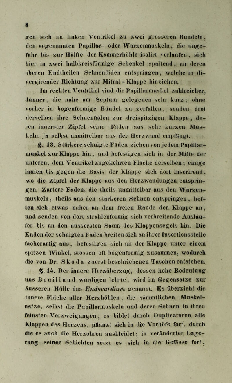 gen sich iiu linken Ventrikel zu zwei grösseren Bündeln, den sogenannten Papillar- oder Warzenmuskeln, die unge¬ fähr bis zur Hälfte der Kammerhöhle isolirt verlaufen , sich hier in zwei halbkreisförmige Schenkel spaltend, an deren oberen Endtheilen Sehnenfäden entspringen, welche in di- vergirender Richtung zur Mitral - Klappe hinziehen. Im rechten Ventrikel sind die Papillarmuskel zahlreicher, dünner, die nahe am Septum gelegenen sehr kurz; ohne vorher in bogenförmige Bündel zu zerfallen, senden drei derselben ihre Sehnenfäden zur dreispitzigen Klappe, de¬ ren innerster Zipfel seine Fäden aus sehr kurzen Mus¬ keln, ja selbst unmittelbar aus der Herzwand empfängt. §. 13. Stärkere sehnigte Fäden ziehen von jedem Papillar¬ muskel zur Klappe hin, und befestigen sich in der Mitte der unteren, dem Ventrikel zugekehrten Fläche derselben; einige laufen bis gegen die Basis der Klappe sich dort inserireud, wo die Zipfel der Klappe aus den Herzwandungen entsprin¬ gen. Zartere Fäden, die theils unmittelbar aus den Warzen¬ muskeln , theils aus den stärkeren Sehnen entspringen, hef¬ ten sich etwas näher an dem freien Rande der Klappe- an , und senden von dort strahlenförmig sich verbreitende Ausläu¬ fer bis an den äussersten Saum des Klappensegels hin. Hie Enden der sehnigteu Fäden breiten sich an ihrer Insertionsstelle fächerartig aus, befestigen sich an der Klappe unter einem spitzen Winkel, stossen oft bogenförmig zusammen, wodurch die von ür. Skoda zuerst beschriebenen Taschen entstehen. §. 14. Der innere Herzüberzug, dessen hohe Bedeutung uns ßouillaud würdigen lehrte, wird im Gegensätze zur äusseren Hülle das Endocardium genannt. Es überzieht die innere Fläche aller Herzhöhlen, die sämmtlichen Muskel¬ netze, selbst die Papillannuskeln und deren Sehnen in ihren feinsten Verzweigungen, es bildet durch Duplicaturen alle Klappen des Herzens, pflanzt sich in die Vorhöfe fort, durch die es auch die Herzohren auskleidet; in veränderter Lage¬ rung seiner Schichten setzt es sich in die Gefässe fort,
