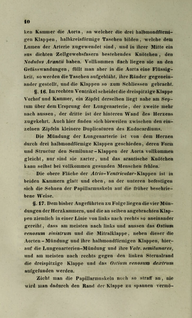 ken Kammer die Aorta, an welcher die drei halbmondförmi¬ gen Klappen, halbkreisförmige Taschen bilden, welche dem Lumen der Arterie zugewendet sind, und in ihrer Mitte ein aus dichten Zellgewebsfasern bestehendes Knötchen, den \odulus Aran/ii haben. Vollkommen flach liegen sie an den Gefässwandungen, füllt man aber in die Aorta eine Flüssig¬ keit, so werden die Taschen aufgebläht, ihre Ränder gegenein¬ ander gestellt, und die Klappen so zum Schliessen gebracht. §. 16. Im rechten Ventrikel scheidet die dreispitzigeKlappe Vorhof und Kammer, ein Zipfel derselben liegt nahe am Sep¬ tum über dem Ursprung der Lungenarterie, der zweite mehr nach aussen, der dritte ist der hinteren Wand des Herzens zugekehrt. Auch hier finden sich bisweilen zwischen den ein¬ zelnen Zipfeln kleinere Duplicaturen des Endocardiums. Die Mündung der Lungenarterie ist von dem Herzen durch drei halbmondförmige Klappen geschieden, deren Form und Structur den Semilunar-Klappen der Aorta vollkommen gleicht, nur sind sie zarter, und das arantische Knötchen kann selbst bei vollkommen gesunden Menschen fehlen. Die obere Fläche der Atrio-Ventricular-Klnppen ist in beiden Kammern glatt und eben, an der unteren befestigen sich die Sehnen der Papillarmuskeln auf die früher beschrie¬ bene Weise. §. 17. Dem bisher Angeführten zu Folge liegen die vier Mün¬ dungen der Herzkammern, und die an selben angebrachten Klap¬ pen ziemlich in einer Linie von links nach rechts so aneinander gereiht, dass am meisten nach links und aussen das Ostium venosum sinislrum und die Mitralklappe, neben dieser die Aorten-Mündung und ihre halbmondförmigen Klappen, hier¬ auf die Lungenarterien-Mündung und ihre Vale, semilunares, und am meisten nach rechts gegen den linken Stcrnalrand die dreispitzige Klappe und das Ostium venosum dexlrum aufgefunden werden. Zieht man die Papillarmuskeln noch so straff an, nie wird man dadurch den Rand der Klappe zu spannen vermö-