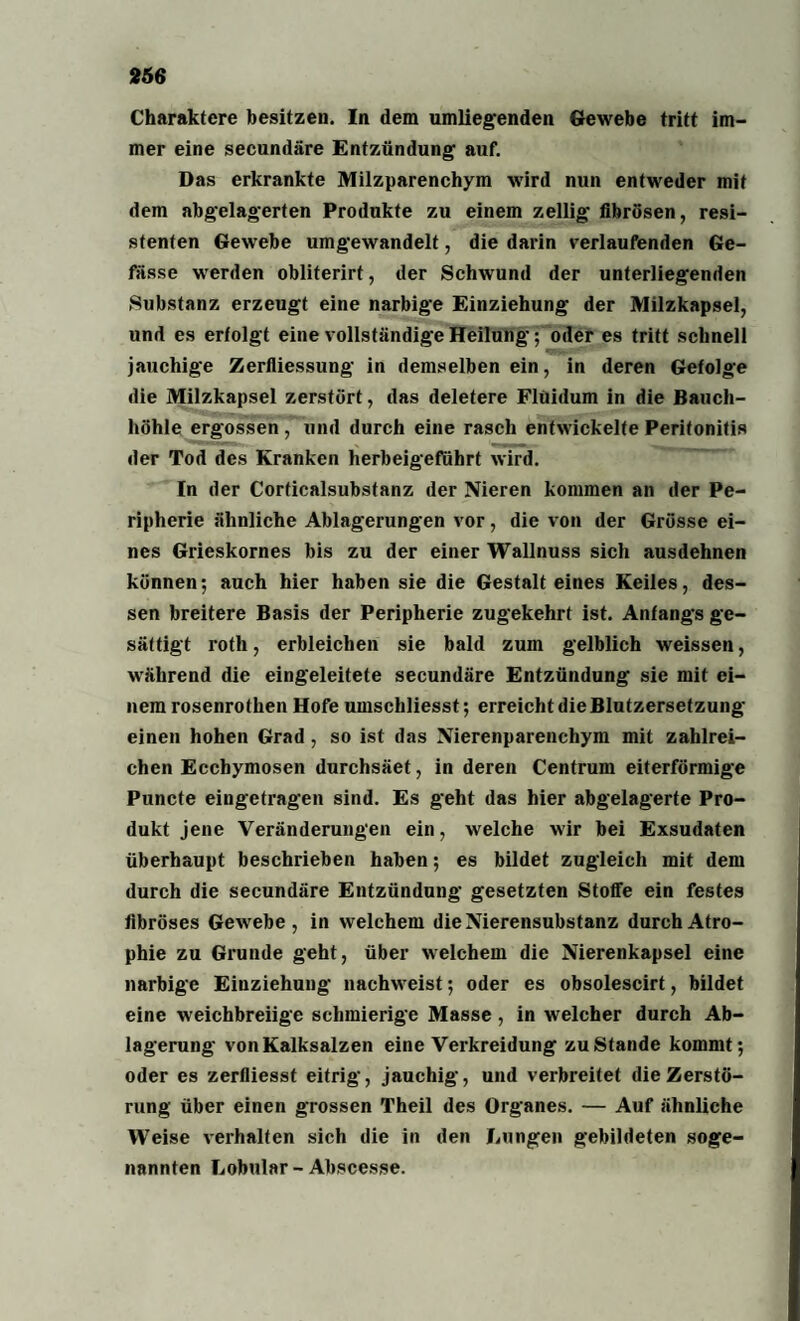 Charaktere besitzen. In dem umliegenden Gewebe tritt im¬ mer eine secundäre Entzündung auf. Das erkrankte Milzparenchym wird nun entweder mit dem abgelagerten Produkte zu einem zellig fibrösen, resi¬ stenten Gewebe umgewandelt, die darin verlaufenden Ge- fässe werden obliterirt, der Schwund der unterliegenden Substanz erzeugt eine narbige Einziehung der Milzkapsel, und es erfolgt eine vollständige Heilung; oder es tritt schnell jauchige Zerfliessung in demselben ein, in deren Gefolge die Milzkapsel zerstört, das deletere Fluidum in die Bauch¬ höhle ergossen , und durch eine rasch entwickelte Peritonitis der Tod des Kranken herbeigeführt wird. In der Corticalsubstanz der Nieren kommen an der Pe¬ ripherie ähnliche Ablagerungen vor, die von der Grösse ei¬ nes Grieskornes bis zu der einer Wallnuss sich ausdehnen können; auch hier haben sie die Gestalteines Keiles, des¬ sen breitere Basis der Peripherie zugekehrt ist. Anfangs ge¬ sättigt roth, erbleichen sie bald zum gelblich weissen, während die eingeleitete secundäre Entzündung sie mit ei¬ nem rosenrothen Hofe umschliesst; erreicht die Blutzersetzung einen hohen Grad, so ist das Nierenparenchym mit zahlrei¬ chen Ecchymosen durchsäet, in deren Centrum eiterförmige Puncte eingetragen sind. Es geht das hier abgelagerte Pro¬ dukt jene Veränderungen ein, welche wir bei Exsudaten überhaupt beschrieben haben; es bildet zugleich mit dem durch die secundäre Entzündung gesetzten Stoffe ein festes fibröses Gewebe, in welchem die Nierensubstanz durch Atro¬ phie zu Grunde geht, über welchem die Nierenkapsel eine narbige Einziehung nachweist; oder es obsolescirt, bildet eine weichbreiige schmierige Masse, in welcher durch Ab¬ lagerung von Kalksalzen eine Verkreidung zustande kommt; oder es zerfliesst eitrig, jauchig, und verbreitet die Zerstö¬ rung über einen grossen Theil des Organes. — Auf ähnliche Weise verhalten sich die in den Lungen gebildeten soge¬ nannten Lobular-Abscesse.