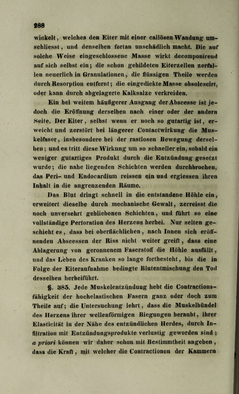 wickelt, welches den Eiter mit einer callösenWandung' um- schliesst, und denselben fortan unschädlich macht. Die auf solche Weise eing'eschlossene Masse wirkt decomponirend auf sich selbst ein; die schon gebildeten Eiterzellen zerfal¬ len neuerlich in Granulationen, die flüssig'en Theile werden durch Resorption entfernt; die eingedickte Masse obsolescirt, oder kann durch abgelagerte Kalksalze verkreiden. Ein bei weitem häufigerer Ausgang der Abscesse ist je¬ doch die Eröffnung derselben nach einer oder der andern Seite. Der Eiter, selbst wenn er noch so gutartig ist, er¬ weicht und zerstört bei längerer Contactwirkung die Mus¬ kelfaser, insbesondere bei der rastlosen Bewegung' dersel¬ ben; und es tritt diese Wirkung um so schneller ein, sobald ein weniger gutartiges Produkt durch die Entzündung gesetzt wurde; die nahe liegenden Schichten werden durchbrochen, das Peri- und Endocardium reissen ein und ergiessen ihren Inhalt in die angrenzenden Räume. Das Blut dringt schnell in die entstandene Höhle ein, erweitert dieselbe durch mechanische Gewalt, zerreisst die noch unversehrt gebliebenen Schichten, und führt so eine vollständige Perforation des Herzens herbei. Nur selten ge¬ schieht es, dass bei oberflächlichen, nach Innen sich eröff¬ nenden Abscessen der Riss nicht weiter greift, dass eine Ablagerung von geronnenem Faserstoff die Höhle ausfüllt, und das Leben des Kranken so lange fortbesteht, bis die in Folge der Eiteraufuahine bedingte Blutentmischung' den Tod desselben herbeiführt. §. 385. Jede Muskelentzünduug hebt die Contractions- fähigkeit der hochelastischen Fasern ganz oder doch zum Theile auf; die Untersuchung lehrt, dass die Muskelbündel des Herzens ihrer wellenförmigen Biegungen beraubt, ihrer Elasticität in der Nähe des entzündlichen Herdes, durch In¬ filtration mit Entzündungsprodukte verlustig geworden sind ; a priori können wir daher schon mit Bestimmtheit angeben , dass die Kraft, mit welcher die Contractionen der Kammern