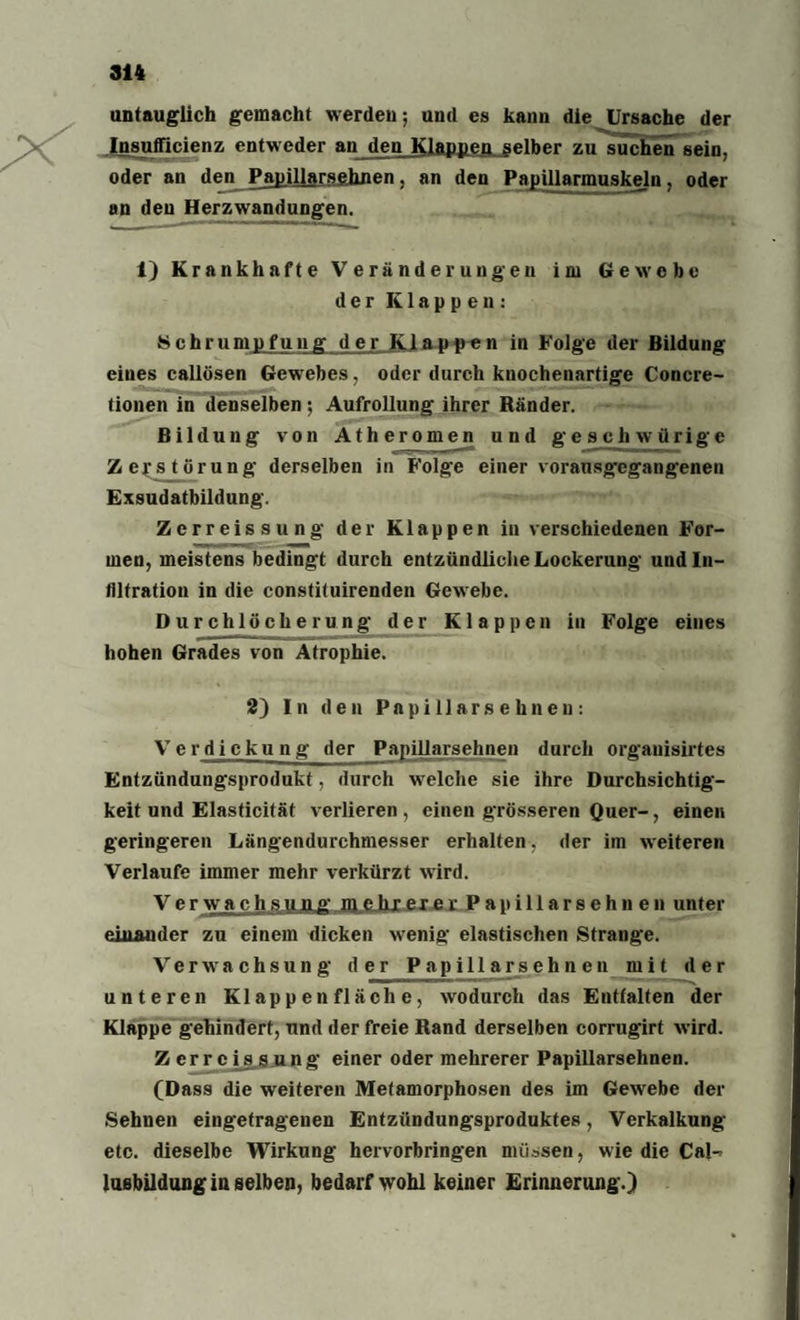 untauglich gemacht werden; und es kann die Ursache der Insufficienz entweder an den Klangen. gelber zu suchen sein, oder an den Papillarsehnen, an den Papillarrauskeln, oder an den Herzwandungen. 1) Kra nkhafte Veränderungen im Gewebe der Klappen: Schrumpfung der Klappen in Folge der Bildung eines callösen Gewebes, oder durch knochenartige Concre- tionen in denselben; Aufrollung ihrer Ränder. Bildung von Atheromen und gesch würige Zerstörung derselben in Folge einer vorausgegangenen Exsudatbildung. Zerreissung der Klappen in verschiedenen For¬ men, meistens bedingt durch entzündliche Lockerung und In¬ filtration in die constituirenden Gewebe. Durchlöcherung der Klappen in Folge eines hohen Grades von Atrophie. 2) In den Papillarsehnen: Verdickung der Papillarsehnen durch organisirtes Entzündungsprodukt, durch welche sie ihre Durchsichtig¬ keit und Elasticität verlieren, einen grösseren Quer- ? einen geringeren Längendurchmesser erhalten , der im weiteren Verlaufe immer mehr verkürzt wird. Ver wachsung- gjehxer er Papillarsehnen unter einander zu einem dicken wenig elastischen Strange. Verwachsung der Papillarsehnen mit der unteren Klappen fläche, wodurch das Entfalten der Klappe gehindert, und der freie Rand derselben corrugirt wird. Zerreissung einer oder mehrerer Papillarsehnen. (Dass die weiteren Metamorphosen des im Gewebe der Sehnen eingetragenen Entzündungsproduktes, Verkalkung etc. dieselbe Wirkung hervorbringen müssen, wie die Ca!-- luBbildung in selben, bedarf wohl keiner Erinnerung.)