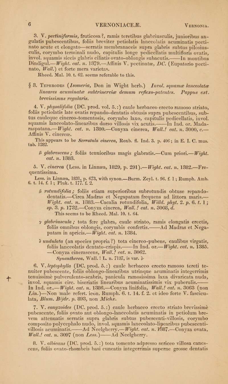 3. V. pectiniformis, fruticosa?, ramis teretibus glabriusculis, junioribus an¬ gulatis pubescentibus, foliis breviter petiolatis lanceolatis acuminatis pecti¬ nato acute et elongato—serratis membranaceis supra glabris subtus pilosius- culis, corymbo terminali nudo, capitulis longe pediceilatis multifloris ovatis, invol. squamis siccis glabris ciliatis ovato-oblongis subacutis.-In montibus Dindigul.— Wight. cat. n. 1379.—Affinis V. pectinatae, DC. (Eupatorio pecti¬ nato, Wall.) et forte mera varietas. Rheed. Mal. 10. t. 62. seems referable to this. § 3. Tephrodes (Isomeria, Don in Wight lierb.) Invol. squamae lanceolatce lineares acuminatae subtrinerviae demum reflexo-patentes. Pappus ext. brevissimus regularis. 4. Y. physalifolia (DC. prod. vol. 5.:) caule herbaceo erecto ramoso striato, foliis petiolatis late ovatis repando-dentatis obtusis supra pubescentibus, sub¬ tus cauleque cinereo-tomentosis, corymbo laxo, capitulis pediceilatis, invol. squamis lanceolato-linearibus dorso villosis vix acutis.-In Ind. or. Mada- raspatana.— Wight. cat. n. 1380.—Conyza cinerea, Wall.! cat. n. 3000, c.— Affinis V. cinereae. This appears to be Serratula cinerea, Roxb. fl. Ind. 3. p. 406: in E. I. C. mus. tab. 1282. /3 glabrescens; foliis tenuioribus magis glabratis.—Cum priori.— Wight. cat. n. 1383. 5. V. cinerea (Less. in Linnaea, 1829, p. 291).— Wight. cat. n. 1382.—Fre- quentissima. Less. in Linnaea, 1831, p. 673, with synon.—Burm. Zeyl. t. 96. f. 1 : Rumph. Amb. 6. t. 14. f. 1; Pluk. t. 177. f. 2. /3 rotundifolia; foliis etiam superioribus subrotundis obtuse repando- dentatis.—Circa Madras et Negapatam frequens ad littora maris.— Wight. cat. n. 1383.—Cacalia rotundifolia, Willd. phyt. 2. p. 6. t. 1; sp. 3. p. 1732.—Conyza cinerea, Wall. ! cat. n. 3008, d. This seems to be Rheed. Mal. 10. t. 64. y glabrius cula; tota fere glabra, caule striato, ramis elongatis erectis, foliis omnibus oblongis, corymbis confertis.-Ad Madras et Nega¬ patam in apricis.— Wight. cat. n. 1384. 2 undulata (an species propria?) tota cinereo-pubens, caulibus virgatis, foliis lanceolatis dentato-crispis.-In Ind. or.— Wight. cat. n. 1385. —Conyza cinerascens, Wall.! cat. n. 3062. Synantherea, Wall.! L. n. 7137, is var. £• 6. V. leptophylla (DC. prod. 5.:) caule herbaceo erecto ramoso tereti te¬ nuiter pubescente, foliis oblongo-linearibus utrinque acuminatis integerrimis tenuissime pulverulento-scabris, panicula ramosissima laxa divaricata nuda, invol. squamis circ. biseriatis linearibus acuminatissimis vix puberulis.- In Ind. or..— Wight. cat. n. 1386.—Conyza linifolia, Wall.! cat. n. 3063 (non Lin.)—Non male refert, icon. Rumph. 6. t. 14. f. 2. et ideo forte V. fascicu¬ lata, Blum. Bijdr. p. 893, non Michx. 7. Y.conyzoides (DC. prod. 5.:) caule herbaceo erecto striato brevissime pubescente, foliis ovato aut oblongo-lanceolatis acuminatis in petiolum bre¬ vem attenuatis serratis supra glabris subtus pubescenti-villosis, corymbo composito polyceplialo nudo, invol. squamis lanceolato-linearibus pubescenti- villosis acuminatis.-Ad Neelgherry.— Wight. cat. n. 1387.—Conyza ovata, Wall.! cat. n. 3097 (non Less.)-Ad Neelgherry. 8. V. albicans (DC. prod. 5.:) tota tomento adpresso sericeo villosa canes¬ cens, foliis ovato-rhombeis basi cuneatis integerrimis superne grosse dentatis