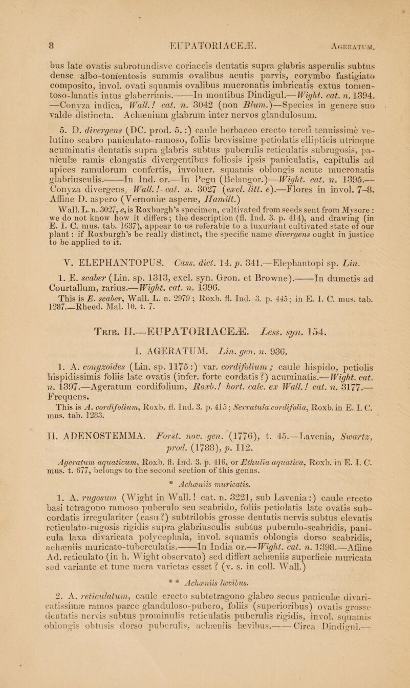 bus late ovatis subrotundisve coriaceis dentatis supra glabris asperulis subtus dense albo-tomentosis suminis ovalibus acutis parvis, corymbo fastigiato composito, invol. ovati squamis ovalibus mucronatis imbricatis extus tomen- toso-lanatis intus glaberrimis.-In montibus Dindigul.— Wight. cat. n. 1394. —Conyza indica, Wall.! cat. n. 3042 (non Blum.)—Species in genere suo valde distincta. Achsenium glabram inter nervos glandulosum. 5. D. divergens (DC. prod. 5.:) caule herbaceo erecto tereti tenuissime ve- lutino scabro paniculato-ramoso, foliis brevissime petiolatis ellipticis utrinque acuminatis dentatis supra glabris subtus puberulis reticulatis subrugosis, pa¬ niculae ramis elongatis divergentibus foliosis ipsis paniculatis, capitulis ad apices ramulorum confertis, involucr. squamis oblongis acute mucronatis glabriusculis.-In Ind. or.—In Pegu (Belangor.)—Wight. cat. n. 1395.— Conyza divergens, Wall.! cat. n. 3027 {exci. litt. e).—Flores in invol. 7-8. Affine I). aspero (Yernonise asperse, Hamilt.) Wall. L. n. 3027, e, is Roxburgffs specimen, cultivated from seeds sent from Mysore : we do not know how it differs; the description (fl. Ind. 3. p. 414), and drawing (in E. I. C. mus. tab. 1637), appear to us referable to a luxuriant cultivated state of our piant: if RoxburglPs be really distinet, the specific name divergens ought in justice to be applied to it. V. ELEPHANTOPUS. Cass. dict. 14. p. 341.—Elephantopi sp. Lin. 1. E. scaber (Lin. sp. 1313, exci. syn. Gron. et Browne).-In dumetis ad Courtallum, rarius.— Wight. cat. n. 1396. This is E. scaber, Wall. L. n. 2979 ; Roxb. fl. Ind. 3. p. 445; in E. I. C. mus. tab. 1287_Rheed. Mal. 10. t. 7. Trie. II.—EUPATORTACEAE. Less. syn. 154. I. AGERATUM. Lin. gen. n. 936. 1. A. conyzoides (Lin. sp. 1175 :) var. cordifolium; caule hispido, petiolis hispidissimis foliis late ovatis (infer, forte cordatis?) acuminatis.— Wight. cat. n. 1397.—Ageratum cordifolium, Roxb.! hort. calc. ex Wall.! cat. n. 3177-— F requens. This is A. cordifolium, Roxb. fl. Ind. 3. p. 415 ; Serratula cordifolia, Roxb. in E. I. C. mus. tab. 1283. II. ADENOSTEMMA. Forst. nov. gen. (1776), t. 45.—Lavenia, Swartz, prod. (1788), p. 112. Ageratum aquaticum, Roxb. fl. Ind. 3. p. 416, or Ethulia aquatica, Roxb. in E. I. C. mus. t. 677, belongs to the second section of this genus. * Achceniis muricatis. 1. A. rugosum (Wight in Wall.! cat. n. 3221, sub Lavenia:) caule erecto basi tetragono ramoso puberulo seu scabrido, foliis petiolatis late ovatis sub- cordatis irregulariter (casu ?) subtrilobis grosse dentatis nervis subtus elevatis reticulato-rugosis rigidis supra glabriusculis subtus puberulo-scabridis, pani¬ cula laxa divaricata polycephala, invol. squamis oblongis dorso scabridis, achseniis muricato-tuberculatis.-In India or.— Wight. cat. n. 1398.—Affine Ad. reticulato (in li. Wight observato) sed differt acliseniis superficie muricata sed variante et tunc mera varietas esset ? (v. s. in coli. Wall.) * * Aclueniis lesvibus. 2. A. reticulatum, caule erecto subtetragono glabro secus paniculse divari- catissimm ramos parce glanduloso-pubero, foliis (superioribus) ovatis grosse dentatis nervis subtus prominulis reticulatis puberulis rigidis, invol. squamis oblongis obtusis dorso puberulis, aclueniis lsevibus.-Circa Dindigul.—