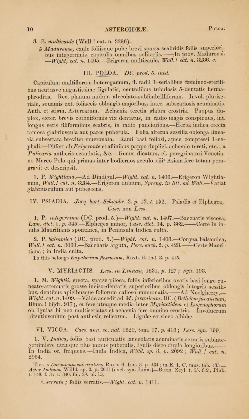 POLOA. 3. E. multicaule (Wall.! cat. n. 3286). /3 Madurense, caule foliisque pube brevi sparsa scabridis foliis superiori¬ bus integerrimis, capitulis omnibus solitariis.-In prov. Madurensi. —Wiglit, cat. n. 1405.—Erigeron multicaule, Wall.! cat. n. 3286. c. III. POLOA. DC. prod. 5. ined. Capitulum multiflorum heterogamum, fl. radii 1-serialibus faemineo-sterili- bus neutrisve angustissime figulatis, centralibus tubulosis 5-dentatis herma¬ phroditis. Rec. planum nudum alveolato-subfimbrilliferum. Invol. plurise- riale, squamis ext. foliaceis oblongis majoribus, inter, subscariosis acuminatis. Anth. et stigm. Asterearum. Achaenia teretia glabra erostria. Pappus du¬ plex, exter, brevis coroniformis vix dentatus, in radio magis conspicuus, int. longus setis filiformibus scabris, in radio paucioribus.—Herba indica erecta ramosa glabriuscula aut parce puberula. Folia alterna sessilia oblonga linea¬ ria subserrata breviter mucronata. Rami basi foliosi, apice compressi 1-ce- phali.—Differt ab Erigeronte et affinibus pappo duplici, achaenio tereti, etc.; a Pulicaria antheris ecaudatis, &c.—Genus dicatum, cl. peregrinatori Venetia- no Marco Polo qui primus inter hodiernos seculo xiii° Asiam fere totam pera¬ gravit et descripsit. 1. P. Wightiana.—Ad Dindigul.— Wiglit. cat. n. 1406.—Erigeron Wightia- num, Wall.! cat. n. 3284.—Erigeron dubium, Spreng. in litt. ad Wall.—Variat glabriusculum aut pubescens. IV. PSIADIA. Jacq. hort. Schcenbr. 3. p. 13. t. 152.—Psiadia et Elphegea, Ca-ss. non Less. 1. P. integerrima (DC. prod. 5.)—Wiglit. cat. n. 1407.—Baccharis viscosa, Lam. dict. 1. p. 345.—Elphegea minor, Cass. dict. 14. p. 362.-Certe in in¬ sulis Mauritianis spontanea, in Peninsula Indica culta. 2. V.balsamica (DC. prod. 5.)—Wight. cat. n. 1408.—Conyza balsamica, Wall. ! cat. n. 3068.—Baccharis arguta, Pers. ench. 2. p. 423.-Certe Mauri- tiana; in India culta. To this belongs Eupatorium flexuosum, Roxb. fl. Ind. 3. p. 415. V. MYRI ACTIS. Less. in Linncea, 1831, p. 127 ; Sgn. 193. 1. M. Wightii, erecta, sparse pilosa, foliis inferioribus ovatis basi longe cu- neato-attenuatis grosse inciso-dentatis superioribus oblongis integris sessili¬ bus, dentibus apicibusque foliorum calloso-mucronatis.-Ad Neelgherry.— Wiglit. cat. n. 1409.—Valde accedit ad M. javanicam, DC. (Pellidem javanicam, Blum.! bijdr. 917), et fere utraque media inter Myriactidem et Lagenophoram ob ligulas bi nec multiseriatas et achaenia fere omnino erostria. Involucrum drsutiusculum post anthesin reflexum. Ligulae ex sicco albidae. VI. VICOA. Cass. ann. sc. nat. 1829, tom. 17. p. 418; Less. sgn. 199/ 1. V. Indica, foliis basi auriculatis lanceolatis acuminatis serratis subinte- gcrrimisve utrinque plus minus puberulis, ligulis disco duplo longioribus.- In India or. frequens.—Inula Indica, Willd. sp. 3. p. 2092; Wall. ! cat. n. 2964. This is Doronicum calcaratum, Roxb. fl. Ind. 3. p. 434; in E. I. C. mus. tab. 433_ Aster Indicus, Willd. sp. 3. p. 2041 (exci. syn. Linn.)—Burm. Zevl. t. 55. f. 2; Pluk. t. 14.9. f. 3; t. 340. fol. 29. pl. 13. oc. serrata ; foliis serratis.— Wight. cat. n. 1411.