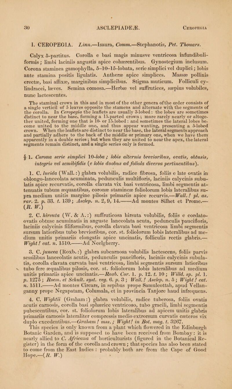 I. CEROPEGIA. Linn.—Isaura, Comm.—Steplianotis, Pet. Thouars. Calyx 5-partitus. Corolla e basi magis minusve ventricosa infundibuli- formis; limbi laciniis angustis apice cohaerentibus. Gynostegium inclusum. Corona staminea gamophylla, 5-10-15-lobata, serie simplici vel duplici; lobis ante stamina positis ligulatis. Antherse apice simplices. Massae pollinis erectae, basi affixae, marginibus simplicibus. Stigma muticum. Folliculi cy- lindracei, laeves. Semina comosa.—Herbae vel suffrutices, saepius volubiles, nunc lactescentes. The staminal crown in this and in most of the other genera ofthe order consists of a single verticil of 5 leaves opposite the stamens and alternate with the segments of the corolla. In Ceropegia the leaflets are usually 3-lobed : the lobes are sometimes distinet to near the base, forming a 15-parted crown ; more rarely nearly or altoge- ther united, forming one that is 10- or 15-lobed : and sometimes the lateral lobes be- come united to the middle one, and thus appear wanting, presenting a 5-lobed crown. When the leaflets are distinet to near the base, the lateral segments approach and partially adhere to the back of the middle or primary one, when we have them apparently in a double series; but when they are united to near the apex, the lateral segments remain distinet, and a single series only is formed. § 1. Corona serie simplici 10-loba; lobis alternis brevioribus, ovatis, obtusis, integris vel semibifidis {e lobis duobus ad foliola diversa pertinentibus). 1. C. lucida (Wall.:) glabra volubilis, radice fibrosa, foliis e late ovatis in oblongo-lanceolata acuminata, pedunculis multifloris, laciniis calycinis subu- latis apice recurvatis, corolla clavata vix basi ventricosa, limbi segmentis at¬ tenuatis tubum aequantibus, coronae stamineae foliolorum lobis lateralibus su¬ pra medium unitis margine pilosis primariis apice recurvis.—Wall. ! pl. as. rar. 2. p. 33. t. 139; Asclep. n. 2, 9, 14.-Ad montes Silhet et Prome.— (R. W.) 2. C. hirsuta (W. & A.:) suflruticosa hirsuta volubilis, foliis e cordato- ovatis obtuse acuminatis in anguste lanceolata acuta, pedunculis paucifloris, laciniis calycinis filiformibus, corolla clavata basi ventricosa limbi segmentis sursum latioribus tubo brevioribus, cor. st. foliolorum lobis lateralibus ad me¬ dium unitis primariis elongatis apice uncinatis, folliculis rectis glabris.— Wight! eat. n. 1510.-Ad Neelgherry. 3. C. juncea (Roxb.:) glabra subcarnosa volubilis lactescens, foliis parvis sessilibus lanceolatis acutis, pedunculis paucifloris, laciniis calycinis subula- tis, corolla clavata curvata basi ventricosa, limbi segmentis sursum latioribus tubo fere aequalibus pilosis, cor. st. foliolorum lobis lateralibus ad medium unitis primariis apice uncinatis.—Roxb. Cor. 1. p. 12. t. 10; Willd. sp. pl. 1. p. 1275; Roem. et Schult. syst. veg. 6. p. 3 ; Wall. ! Asclep. n. 5 ; Wight! cat. n. 1511.-Ad montes Circars, in sepibus prope Samulcottah, apud Vellan- ganny prope Negapatam, Columala, et in provincia Tanjore haud infrequens. 4. C. Wightii (Graham:) glabra volubilis, radice tuberosa, foliis ovatis acutis carnosis, corolla basi sphaerice ventricoso, tubo gracili, limbi segmentis pubescentibus, cor. st. foliolorum lobis lateralibus ad apicem unitis glabris primariis carnosis lateraliter compressis medio extrorsum curvatis caeteros vix duplo excedentibus.—Graham! mss.; Wight! in Bot. mag. t. 3267- This species is only known from a piant wliich flowered in the Edinburgh Botanic Garden, and is supposed to have been received from Bombay: it is nearly allied to C. Africana of horticulturists (figured in the Botanical Re- gister) in the form of the corolla and crown; that species has also been stated to come from the East Indies : probablv both are from the Cape of Good Hope.—{R. W.)