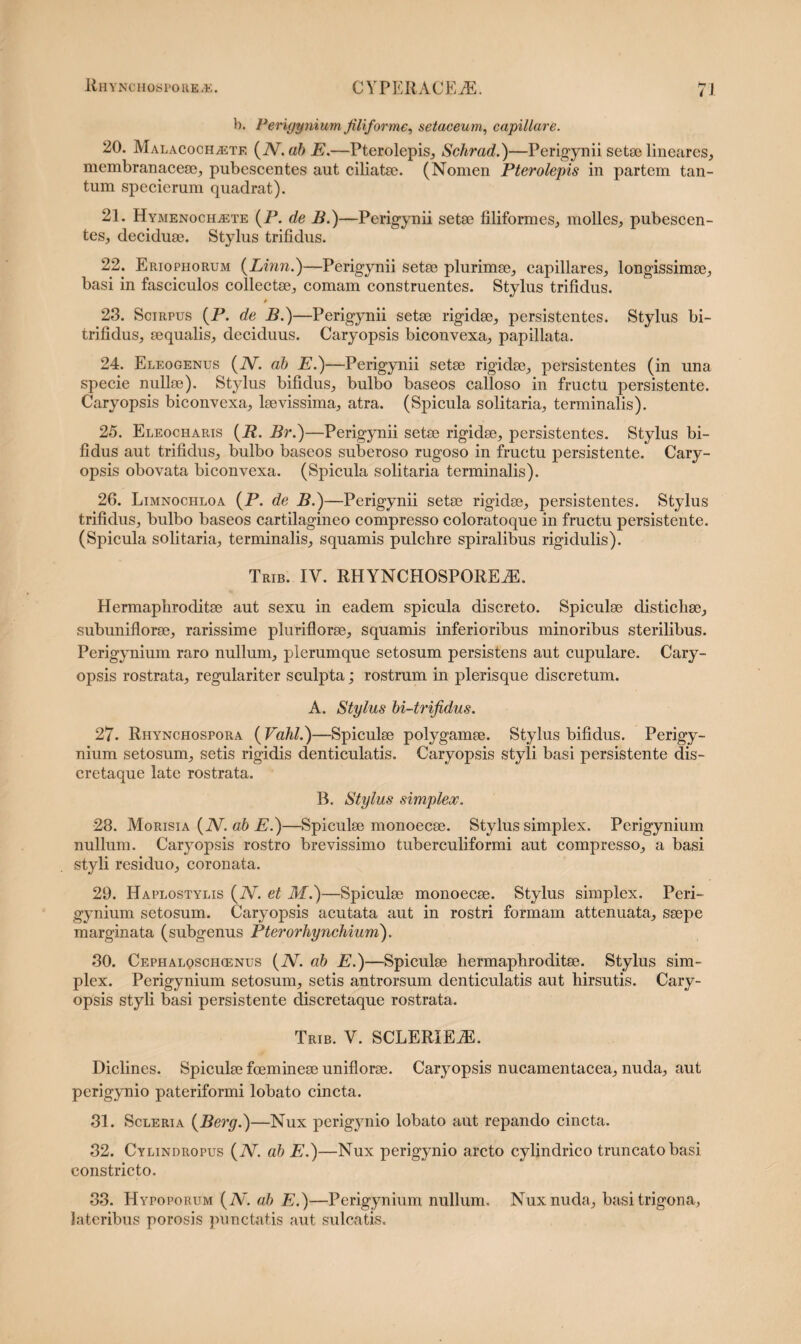 b. Perigynium filiforme, setaceum, capillare. 20. Malacoch,ete (N.ab E.—Pterolepis, Schrad.)—Perigynii setae lineares, membranacea), pubescentes aut ciliatae. (Nomen Pterolepis in partem tan¬ tum specierum quadrat). 21. Hymenoch,ete {P. de B.)—Perigynii setae filiformes, molles, pubescen¬ tes, deciduae. Stylus trifidus. 22. Eriophorum (Linn.)—Perigynii setae plurimae, capillares, longissimae, basi in fasciculos collectae, comam construentes. Stylus trifidus. / 23. Scirpus {P. de B.)—Perigynii setae rigidae, persistentes. Stylus bi- trifidus, aequalis, deciduus. Caryopsis biconvexa, papillata. 24. Eleogenus (iV. ab E.)—Perigynii setae rigidae, persistentes (in una specie nullae). Stylus bifidus, bulbo baseos calloso in fructu persistente. Caryopsis biconvexa, laevissima, atra. (Spicula solitaria, terminalis). 25. Eleocharis {R. Br.)—Perigynii setae rigidae, persistentes. Stylus bi¬ fidus aut trifidus, bulbo baseos suberoso rugoso in fructu persistente. Cary¬ opsis obovata biconvexa. (Spicula solitaria terminalis). 26. Limnochloa (P. de B.)—Perigynii setae rigidae, persistentes. Stylus trifidus, bulbo baseos cartilagineo compresso coloratoque in fructu persistente. (Spicula solitaria, terminalis, squamis pulchre spiralibus rigidulis). Trib. IV. RHYNCHOSPOREjE. Hermaphroditae aut sexu in eadem spicula discreto. Spiculae distichae, subuniflorae, rarissime pluriflorae, squamis inferioribus minoribus sterilibus. Perigynium raro nullum, plerumque setosum persistens aut cupulare. Cary¬ opsis rostrata, regulariter sculpta; rostrum, in plerisque discretum. A. Stylus bi-trifidus. 27. Rhynchospora (Vahl.)—Spiculae polygamae. Stylus bifidus. Perigy¬ nium setosum, setis rigidis denticulatis. Caryopsis styli basi persistente dis- cretaque late rostrata. B. Stylus simpleoc. 28. Morisia {N.ab E.)—Spiculae monoecae. Stylus simplex. Perigynium nullum. Caryopsis rostro brevissimo tuberculiformi aut compresso, a basi styli residuo, coronata. 29. Haplostylis (2V. et M.)—Spiculae monoecae. Stylus simplex. Peri¬ gynium setosum. Caryopsis acutata aut in rostri formam attenuata, saepe marginata (subgenus Pterorhynchium). 30. Cephaloschienus {IV. ab E.)—Spiculae hermaphroditae. Stylus sim¬ plex. Perigynium setosum, setis antrorsum denticulatis aut hirsutis. Cary¬ opsis styli basi persistente discretaque rostrata. Trib. V. SCLERIEiE. Diclines. Spiculae fcemineae uniflorae. Caryopsis nucamentacea, nuda, aut perigynio pateriformi lobato cincta. 31. Scleria {Berg.)—Nux perigynio lobato aut repando cincta. 32. Cylindropus {IV. ab E.)—Nux perigynio arcto cylindrico truncato basi constricto. 33. Hypoporum (A', ab E.)—Perigynium nullum. Nux nuda, basi trigona, lateribus porosis punctatis aut sulcatis.