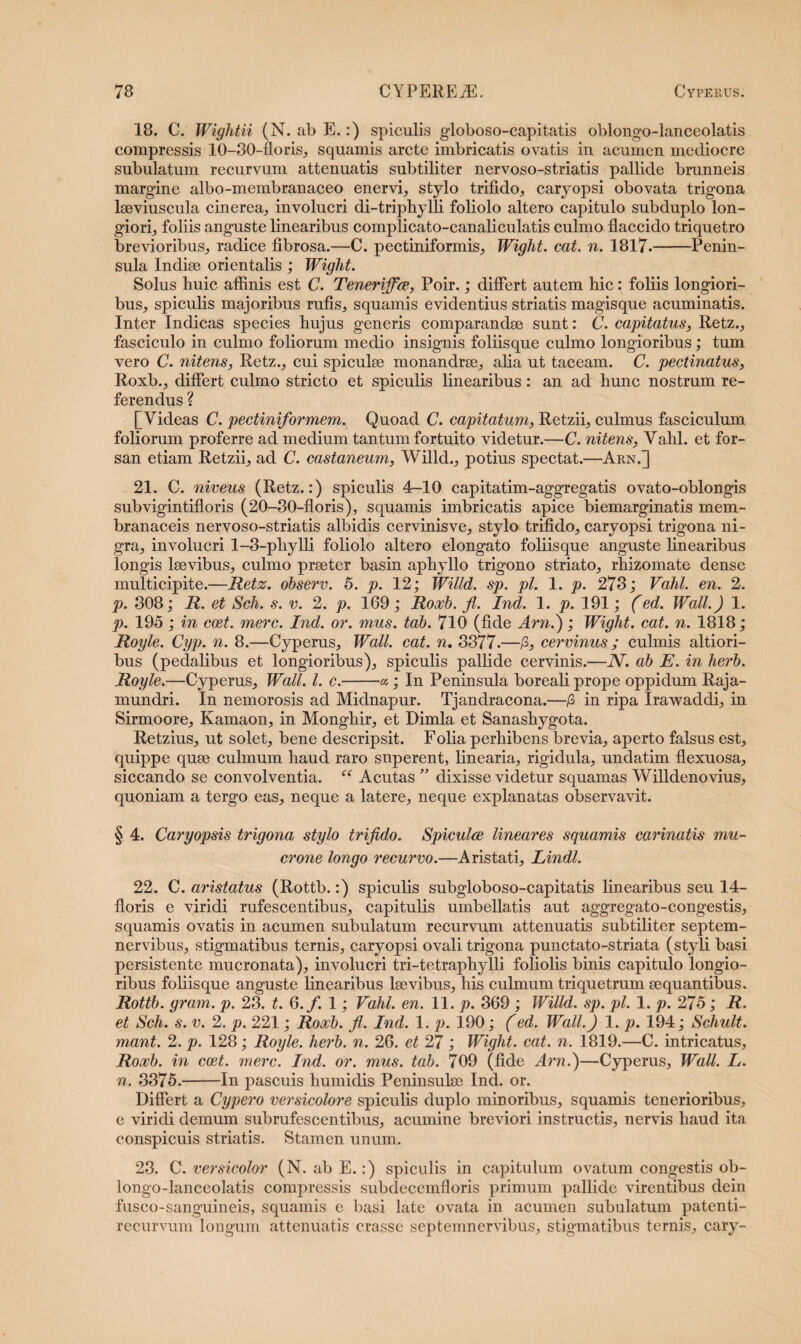 18. C. Wightn (N. ab E.:) spiculis globoso-capitatis oblongo-lanceolatis compressis 10-30-floris, squamis arcte imbricatis ovatis in acumen mediocre subulatum recurvum attenuatis subtiliter nervoso-striatis pallide brunneis margine albo-membranaceo enervi, stylo trifido, caryopsi obovata trigona lseviuscula cinerea, involucri di-triphylli foliolo altero capitulo subduplo lon¬ giori, foliis anguste linearibus complicato-canaliculatis culmo flaccido triquetro brevioribus, radice fibrosa.—C. pectiniformis, Wight. cat. n. 1817.-Penin¬ sula Indiae orientalis ; Wight. Solus huic affinis est C. Tenerrfiae, Poir.; differt autem hic: foliis longiori¬ bus, spiculis majoribus rufis, squamis evidentius striatis magisque acuminatis. Inter Indicas species hujus generis comparandae sunt: C. capitatus, Retz., fasciculo in culmo foliorum medio insignis foliisque culmo longioribus; tum vero C. nitens, Retz., cui spiculae monandrae, alia ut taceam. C. pectinatus, Roxb., differt culmo stricto et spiculis linearibus: an ad hunc nostrum re¬ ferendus ? [Videas C. pectiniformem. Quoad C. capitatum, Retzii, culmus fasciculum foliorum proferre ad medium tantum fortuito videtur.—C. nitens, Vahl. et for¬ san etiam Retzii, ad C. castaneum, Willd., potius spectat.—ArnY] 21. C. niveus (Retz.:) spiculis 4—10 capitatim-aggregatis ovato-oblongis subvigintifloris (20-30-floris), squamis imbricatis apice biemarginatis mem¬ branaceis nervoso-striatis albidis cervinisve, stylo trifido, caryopsi trigona ni¬ gra, involucri 1-3-phylli foliolo altero elongato foliisque anguste linearibus longis laevibus, culmo praeter basin aphyllo trigono striato, rhizomate dense multicipite.—Retz. observ. 5. p. 12; Willd. sp. pl. 1. p. 273; Vahl. en. 2. p. 308; R. et Sch. s. v. 2. p. 169; Roxb. fi. Ind. 1. p. 191; (ed. Wall.) 1. p. 195 ; in coet. mere. Ind. or. mus. tab. 710 (fide Arn) ; Wight. cat. n. 1818; Royle. Cyp. n. 8.—Cyperus, Wall. cat. n. 3377.—/3, cervinus; culmis altiori- bus (pedalibus et longioribus), spiculis pallide cervinis.—N. ab E. in herb. Royle.—Cyperus, Wall. I. c.-«; In Peninsula boreali prope oppidum Raja- mundri. In nemorosis ad Midnapur. Tjandracona.—/3 in ripa Irawaddi, in Sirmoore, Kamaon, in Monghir, et Dimla et Sanashygota. Retzius, ut solet, bene descripsit. Folia perhibens brevia, aperto falsus est, quippe quae culmum haud raro superent, linearia, rigidula, undatim flexuosa, siccando se convolventia. “ Acutas ” dixisse videtur squamas Willdenovius, quoniam a tergo eas, neque a latere, neque explanatas observavit. § 4. Caryopsis trigona stylo trifido. Spiculae lineares squamis carinatis mu¬ crone longo recurvo.—Aristati, Lindi. 22. C. aristatus (Rottb.:) spiculis subgloboso-capitatis linearibus seu 14- fioris e viridi rufescentibus, capitulis umbellatis aut aggregato-congestis, squamis ovatis in acumen subulatum recurvum attenuatis subtiliter septem- nervibus, stigmatibus ternis, caryopsi ovali trigona punctato-striata (styli basi persistente mucronata), involucri tri-tetraphylli foliolis binis capitulo longio¬ ribus foliisque anguste linearibus laevibus, his culmum triquetrum aequantibus. Rottb. grarn. p. 23. t. 6./. 1; Vahl. en. 11. p. 369 ; Willd. sp. pl. 1. p. 275; R. et Sch. s. v. 2. p. 221; Roxb. fi. Ind. 1. p. 190; (ed. Wall.) 1. p. 194; Schult. mant. 2. p. 128; Royle. herb. n. 26. et 27; Wight. cat. n. 1819.—C. intricatus, Roxb. in coet. mere. Ind. or. mus. tab. 709 (fide Arn)—Cyperus, Wall. L. n. 3375.-In pascuis humidis Peninsulae Ind. or. Differt a Cypero versicolore spiculis duplo minoribus, squamis tenerioribus, e viridi demum subrufescentibus, acumine breviori instructis, nervis haud ita conspicuis striatis. Stamen unum. 23. C. versicolor (N. ab E.:) spiculis in capitulum ovatum congestis ob¬ longo-lanceolatis compressis subclecemfloris primum pallide virentibus dein fusco-sanguineis, squamis e basi late ovata in acumen subulatum patenti- recurvum longum attenuatis crasse septemnervibus, stigmatibus ternis, cary-