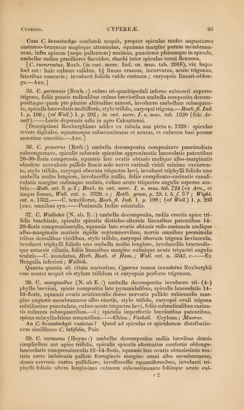 Cum C. hexastachyo confundi nequit, propter spiculas multo angustiores castaneo-brunneas magisque attenuatas, squamas margine parum membrana¬ ceas, infra apicem (ssepe pallentem) muticas, pauciores plerumque in spicula, umbellee radios graciliores flaccidos, rhaclii inter spiculas tenui flexuosa. [C. incurvatus, Roxb. (in coet. mere. Ind. or. mus. tab. 2016), vix hujus loci est: huic culmus validus, 1^ lineas crassus, incurvatus, acute trigonus, lateribus concavis; involucri foliola valde carinata ; caryopsis lineari-oblon- ga.—Arn.] 35. C .pertenuis (Roxb.:) cnlmo tri-quadripedali inferne subtereti superne trigono, foliis paucis radicalibus culmo brevioribus umbella composita decom- positaqne quam pro plantae altitudine minori, involucro umbellam subsequan- te, spiculis lanceolatis multifloris, stylo trifido, caryopsi trigona.—Roxb.fi. Ind. 1. p. 198; (ed Wall.} 1. p. 202; in coet. mere. I. o. mus. tab. 1320 (fide Ar- nott).-Locis depressis udis in agro Calcuttensi. [Descriptioni Roxburghiano addes ex tabula sua picta n. 1320: spiculas revere digitales, squamasque subacuminatas et acutas, et culmum basi pennae anserinae crassitie.—Arn.3 36. C. procerus (Roth:) umbella decomposita compositave pauciradiata subcongestave, spiculis subsenis spicatim approximatis lanceolatis patentibus 20-30-floris compressis, squamis late ovatis obtusis undique albo-marginatis obsolete nervulosis pallide fuscis solo nervo carinali viridi minime excurren¬ te, stylo trifido, caryopsi obovata triquetra laevi, involucri triphylli foliolo uno umbella multo longiore, involucellis nullis, foliis complicato-carinatis canali¬ culatis margine carinaque scabris, culmo acute triquetro angulis superne sca¬ bris.—Roth. cat. 3. p. 5 ; Roxb. in coet. mere. I. o. mus. tab. 724 (ex Arn., et itaque forsan, Wall. cat. n. 3329. a ; Rottb. gram.p. 29. t. 5.f. 3? ; Wight. cat. n. 1332.-C. tenuiflorus, Roxb.fi. Ind. 1. p. 199; {ed Wall.} 1. p. 203 (exc. omnibus syn.-Peninsula Indiae orientalis. 37. C. Wallichii (N. ab. E.:) umbella decomposita, radiis erectis apice tri¬ fidis brachiatis, spiculis spicatis disticho-alternis linearibus patentibus 14- 20-floris compressiusculis, squamis late ovatis obtusis rufo-castaneis undique albo-marginatis muticis rigidis septemnervibus, nervis omnibus prominulis tribus dorsalibus viridibus, stylo trifido, caryopsi obovata trigona laeviuscula, involucri triphylli foliolo uno umbella multo longiore, involucellis bracteolis¬ que setaceis ciliatis, foliis linearibus margine culmique acute triquetri angulis scabris.—C. inundatus, Herb. Roxb. et Ham.; Wall. cat. n. 3342. c.-Ex Bengalia inferiori; Wallich. Quanta quanta sit citata auctoritas, Cyperus tamen inundatus Roxburghii esse noster nequit ob stylum trifidum et caryopsin perfecte trigonam. 38. C. marginellus (N. ab E.:) umbella decomposita involucro tri- (4-) phyllo breviori, spicis compositis late pyramidalibus, spiculis lanceolatis 14- 18-floris, squamis ovatis acutiusculis dorso nervosis pallide rubicundis mar¬ gine angusto membranaceo albo cinctis, stylo trifido, caryopsi ovali trigona subtilissime punctulata, culmo acute triquetro lsevi, foliis subradicalibus carina¬ tis culmum subsequantibus.—5; spiculis imperfectis brevioribus patentibus, spicas subcylindricas struentibus.-China; Vachell. Ceylona; Macrae. An C. hexastachyii varietas ? Quod ad spiculas et spicularum distributio¬ nem simillimus C. latifolio, Poir. 39. C. carnosus (Heyne:) umbellee decompositee radiis brevibus densis simplicibus aut apice trifidis, spiculis spicatis alternatim confertis oblongo- lanceolatis compressiusculis 12-14-floris, squamis late ovatis obtusissimis mu¬ ticis arcte imbricatis pallide ferrugineis margine omni albo membranaceo, dorso nervosis carina pallidiore, invollucellis squamiformibus, involucri tri- phvlli foliolo altero longissimo culmum subcontinuante foliisque acute cql-