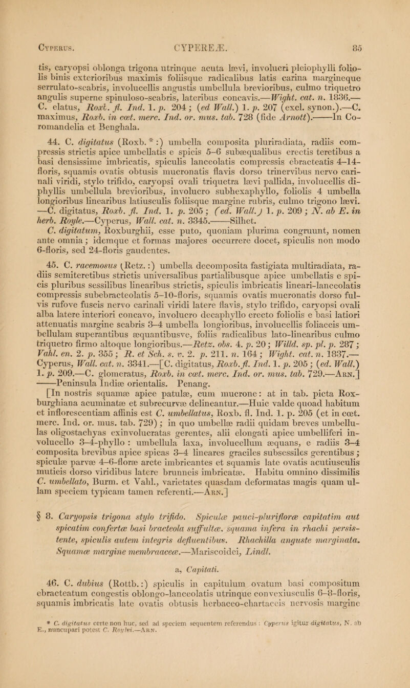 tis, caryopsi oblonga trigona ntrinque acuta lsevi, involucri pleiopliylli folio¬ lis binis exterioribus maximis foliisque radicalibus latis carina margineque serrulato-scabris, involucellis angustis umbellula brevioribus, culmo triquetro angulis superne spinuloso-scabris, lateribus concavis.—Wight. cat. n. 1836.— C. elatus, Roxl. fl. Ind. 1. p. 204; (ed Wall.) 1. p. 207 (exci, synon.).—C. maximus, Roxb. in ccet. mere. Ind. or. mus. tab. 728 (fide Arnott).-In Co- romandelia et Benghala. 44. C. digitatus (Roxb.*:) umbella composita pluriradiata, radiis com¬ pressis strictis apice umbellatis e spicis 5-6 subsequalibus erectis teretibus a basi densissime imbricatis, spiculis lanceolatis compressis ebracteatis 4-14- floris, squamis ovatis obtusis mucronatis flavis dorso trinervibus nervo cari- nali viridi, stylo trifido, caryopsi ovali triquetra lsevi pallida, involucellis di- phyllis umbellula brevioribus, involucro subhexaphyllo, foliolis 4 umbella longioribus linearibus latiusculis foliisque margine rubris, culmo trigono laevi. —C. digitatus, Roxb. fl. Ind. 1. p. 205; (ed. Wall.J 1. p. 209; N. ab E. in herb. Royle.—Cyperus, Wall. cat. n. 3345.-Silhet. C. digitatum, Roxburghii, esse puto, quoniam plurima congruunt, nomen ante omnia; idemque et formas majores occurrere docet, spiculis non modo 6-floris, sed 24-floris gaudentes. 45. C. racemosus (^Retz.:) umbella decomposita fastigiata multiradiata, ra¬ diis semiteretibus strictis universalibus partialibusque apice umbellatis e spi¬ cis pluribus sessilibus linearibus strictis, sjDiculis imbricatis lineari-lanceolatis compressis subebracteolatis 5-10-floris, squamis ovatis mucronatis dorso ful¬ vis rufo ve fuscis nervo carinali viridi latere flavis, stylo trifido, caryopsi ovali alba latere interiori concavo, involucro decaphyllo erecto foliolis e basi latiori attenuatis margine scabris 3-4 umbella longioribus, involucellis foliaceis um- bellulam superantibus sequantibusve, foliis radicalibus lato-linearibus culmo triquetro firmo altoque longioribus.—Retz. obs. 4. p. 20; Willd. sp. pl. p. 287; Vahl. en. 2. p. 355; R. et Sch. s. v. 2. p. 211. n. 164; Wight. cat. n. 1837.— Cyperus, Wall. cat. n. 3341.—[C. digitatus, Roxb.fl. Ind. 1. p. 205 ; (ed. Wall.) 1. p. 209.—C. glomeratus, Roocb. in cat. mere. Ind. or. mus. tab. 729.—Arn.] -Peninsula Indise orientalis. Penang. [In nostris squamee apice patulee, cum mucrone: at in tab. picta Rox- burghiana acuminatse et subrecurvse delineantur.—Huic valde quoad liabitum et inflorescendam affinis est C. umbellatus, Roxb. fl. Ind. 1. p. 205 (et in ccet. mere. Ind. or. mus. tab. 729) ; in quo umbelRe radii quidam breves umbellu- las oligostachyas exinvolucratas gerentes, alii elongati apice umbelliferi in- volucello 3-4-phyllo : umbellula laxa, involucellum aequans, e radiis 3-4 composita brevibus apice spicas 3-4 lineares graciles subsessiles gerentibus; spiculae parvse 4-6-fIor8e arcte imbricantes et squamis late ovatis acutiusculis mutieis dorso viridibus latere brunneis imbricatae. Habitu omnino dissimilis C. umbellato, Burm. et Vahl., varietates quasdam deformatas magis quam ul¬ lam speciem typicam tamen referenti.—Arn.] § 8. Caryopsis trigona stylo trifido. Spicula pauci-pluriflorce capitatim aut spicatim conferta basi bracteola suffulta, squama infera in rhachi persis¬ tente, spiculis autem integris defluentibus. Rhachilla anguste marginata. Squama margine membraacea.—Mariscoidei, Lindi. a, Capitati. 46. C. dubius (Rottb.:) spiculis in capitulum ovatum basi compositum ebracteatum congestis oblongo-lanceolatis utrinque convexiusculis 6-8-floris, squamis imbricatis late ovatis obtusis hcrbaceo-chartaceis nervosis margine * C. digitatus certe non huc, sed ad speciem sequentem referendus : Cyperus igitur digitatus, N ah E., nuncupari potest C. Roylvi.—Arn.