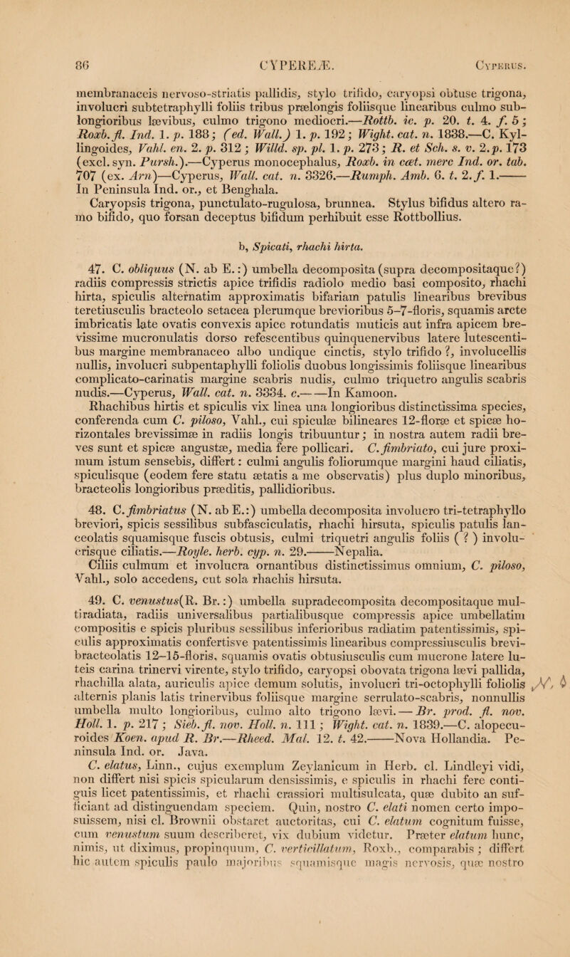 membranaceis nervoso-striatis pallidis, stylo trifido, earyopsi obtuse trigona, involucri subtetraphylli foliis tribus praelongis foliisque linearibus culmo sub- longioribus laevibus, culmo trigono mediocri.—Rottb. ic. p. 20. t. 4. f. 5; Roocb.fi. Ind. 1. p. 188; (ed. Wall.) 1. p. 192; Wight. cat. n. 1838.—C. Kyl- lingoides, Vahl. en. 2. p. 312; Willd. sp. pl. 1. p. 273; R. et Sch. s. v. 2.p. 173 (exci. syn. Pursh.).—Cyperus monoceplialus, Roocb. in ccet. mere Ind. or. tab. 707 (ex. Arn)—Cyperus, Wall. cat. n. 3326.—Rumph. Amb. 6. t. 2.f. 1.- In Peninsula Ind. or., et Benghala. Caryopsis trigona, punctulato-rugulosa, brunnea. Stylus bifidus altero ra¬ mo bifido, quo forsan deceptus bifidum perhibuit esse Rottbollius. b, Spicati, rhachi hirta. 47. C. obliquus (N. ab E.:) umbella decomposita(supra decompositaque?) radiis compressis strictis apice trifidis radiolo medio basi composito, rhachi hirta, spiculis alteinatim approximatis bifariam patulis linearibus brevibus teretiusculis bracteolo setacea plerumque brevioribus 5-7-floris, squamis arcte imbricatis late ovatis convexis apice rotundatis muticis aut infra apicem bre¬ vissime mucronulatis dorso refescentibus quinquenervibus latere lutescenti¬ bus margine membranaceo albo undique cinctis, stylo trifido ?, involucellis nullis, involucri subpentaphylli foliolis duobus longissimis foliisque linearibus complicato-carinatis margine scabris nudis, culmo triquetro angulis scabris nudis.—Cyperus, Wall. cat. n. 3334. c.-In Kamoon. Rhachibus hirtis et spiculis vix linea una longioribus distinctissima species, conferenda cum C. piloso, Vahl., cui spiculse bilineares 12-florse et spicae ho¬ rizontales brevissimae in radiis longis tribuuntur; in nostra autem radii bre¬ ves sunt et spicee angustae, inedia fere pollicari. C. fimbriato, cui jure proxi¬ mum istum sensebis, differt: culmi angulis foliorumque margini haud ciliatis, spiculisque (eodem fere statu aetatis a me observatis) plus duplo minoribus, bracteolis longioribus praeditis, pallidioribus. 48. C .fimbriatus (N. ab E.:) umbella decomposita involucro tri-tetraphyllo breviori, spicis sessilibus subfasciculatis, rhachi hirsuta, spiculis patulis lan- ceolatis squamisque fuscis obtusis, culmi triquetri angulis foliis (?) involu¬ crisque ciliatis.—Royle. herb. cyp. n. 29.-Nepalia. Ciliis culmum et involucra ornantibus distinctissimus omnium, C. piloso, Vahl., solo accedens, cut sola rhachis hirsuta. 49. C. venu.stusfiR. Br.:) umbella supradecomposita decompositaque mul- tiradiata, radiis universalibus partialibus que compressis apice umbellatim compositis e spicis pluribus sessilibus inferioribus radiatim patentissimis, spi¬ culis approximatis confertisve patentissimis linearibus compressiusculis brevi- bracteolatis 12-15-floris, squamis ovatis obtusiusculis cum mucrone latere lu¬ teis carina trinervi virente, stylo trifido, earyopsi obovata trigona laevi pallida, rhachilla alata, auriculis apice demum solutis, involucri tri-octophylli foliolis v -V) 6 alternis planis latis trinervibus foliisque margine serrulato-scabris, nonnullis umbella multo longioribus, culmo alto trigono laevi. — Br. prod. fi. nov. Holi. 1. p. 217; Sieb.fi. nov. Holi. n. 111; Wight. cat. n. 1839.—C. alopecu- roides Koen. apud R. Br.—Rheed. Mal. 12. t. 42.-Nova Hollandia. Pe¬ ninsula Ind. or. Java. C. elatus, Linn., cujus exemplum Zeylanicum in Herb. cl. Lindleyi vidi, non differt nisi spicis spicularum densissimis, e spiculis in rhachi fere conti¬ guis licet patentissimis, et rhachi crassiori multisulcata, quse dubito an suf¬ ficiant ad distinguendam speciem. Quin, nostro C. elati nomen certo impo¬ suissem, nisi cl. Brownii obstaret auctoritas, cui C. elatum cognitum fuisse, cum venustum suum describeret, vix dubium videtur. Praeter elatum hunc, nimis, ut diximus, propinquum, C. verticillatum, Roxb., comparabis ; differt hic autem spiculis paulo majoribus squamisque magis nervosis, quse nostro