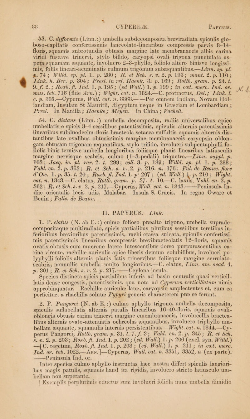 53. C. dijformis (Linn.:) umbella subdecomposita breviradiata spiculis glo- boso-capitatis confertissimis lanceolato-linearibus compressis parvis 8-14- florisj, squamis subrotundis obtusis margine late membranaceis albis carina viridi fuscave trinervi, stylo bifido, caryopsi ovali- trigona punctulato -as¬ pera squamam aequante, involucro 2-3-phyllo, foliolo altero binisve longissi¬ mis, foliis lineari-acuminatis culmum trigonum subaequantibus.—Linn. sp. pL р. 74; Willd. sp. pl. 1. p. 280; R. et Sch. s. v. 2. p. 193; mant. 2. p. 110; Link. h. Ber. p. 304; Presl. in rei. Haenk. 3. p. 169; Rottb. grani, p. 24. t. 9. f. 2.; Roxb.fi. Ind. 1. p. 195; (ed Wall.) 1. p. 199 ; in coet. mere. Ind. or. mus. tab. 716 (fide Arn.) ; Wight. cat. n. 1824.—C. protractus, Del.; Link. I. с. p. 305.—Cyperus, Wall. cat. n. 3363.-Per omnem Indiam, Novam Hol- landiam, Insulam St Mauritii, iEgyptum usque in Graeciam et Lombardiam; Presl. In Manilia; Haenke; Meyen. In Cliina; Vachell. 54. C. distans (Linn.:) umbella decomposita, radiis universalibus apice umbellatis e spicis 3-4 sessilibus patentissimis, spiculis alternis patentissimis linearibus subduodecim-floris bracteola setacea suffultis squamis alternis dis¬ tantibus late ovalibus obtusissimis margine membranaceis caryopsin oblon¬ gam obtusam trigonam aequantibus, stylo trifido, involucri subpentaphylli fo¬ liolis binis ternisve umbella longioribus foliisque planis linearibus latiusculis margine nervisque scabris, culmo (1-3-pedali) triquetro.—Linn. suppi, p. 103; Jacq. ic. pl. rar. 2. t. 299; coli. 3. p. 189; Willd. sp. pl. 1. p. 288; Vatii, en. 2. p. 363; R. et Sch. s. v. 2. p. 216. n. 176; Pal. de Beauv. flore d’Ow. 1. p. 35. t. 20; Roxb.fi. Ind. 1. p' 207 ; (ed. Wall.) p. 210 ; Wight. cat. n. 1343.—C. elatus, Rottb. gram. p. 37. t. 10.—C. laxus, Yahl. en. 2. p. 362; R. et Sch. s. v. 2. p. 217.—Cyperus, Wall. cat. n. 1843.-Peninsula In¬ diae orientalis locis udis, Malabar. Insula S. Crucis. In regno Oware et Benin; Palis, de Beauv. II. PAPYRUS. Link. 1. P. elatus (N. ab E.:) culmo folioso praealto trigono, umbella suprade- compositaque multiradiato, spicis partialibus pluribus sessilibus teretibus in¬ ferioribus brevioribus patentissimis, raclii crassa sulcata, spiculis confertissi¬ mis patentissimis linearibus compressis brevibracteolatis 12-floris, squamis ovatis obtusis cum mucrone latere lutescentibus dorso purpurascentibus ca¬ rina virente, racbillae auriculis apice liberis demum solubilibus, involucri po- lyphylli foliolis alternis planis latis trinervibus foliisque margine serrulato- scabris, nonnullis umbella multo longioribus.—C. elatus, Linn. am. acad. 4. p. 301; R. et Sch. s. v. 2. p. 217--Ceylona insula. Species distincta spicis partialibus inferis ad basin centralis quasi verticil- latis dense congestis, patentissimis, qua nota ad Cyperum verticillatum nimis approbinquatur. Rachillae auriculae latae, caryopsin amplectentes et, cum ea perficitur, a rhacliilla solutae Pypyri generis characterem prae se ferunt. 2. P. Pangorei (N. ab E.:) culmo aphyllo trigono, umbella decomposita, spiculis suflabellatis alternis patulis linearibus 16-40-floris, squamis ovali- oblongis obtusis carina trinervi margine emembranaceis, involucellis bractea- libus alternis ovato-attenuatis ochreolas aequantibus, involucro triphyllo um¬ bellam aequante, squamulis internis persistentibus.— Wight. cat. n. 1844.—Cy¬ perus Pangorei, Rottb. gram. p. 31. t. 'l.f. 3; Vahl. en. 2. p. 345 ; R. et Sch. s. v. 2. p. 203; Roxb.fi,. Ind. 1 .p. 202; {ed. Wall.) 1. p. 206 (exci. syn. Willd.) •—[C. tegetum, Roxb.fi. Ind. 1. p. 208; (ed. Wall.) 1. p. 211; in coet. mere. Ind. or. tab. 1022.—Arn.]—Cyperus, Wall. cat. n. 3351, 3352, a (ex parte). -Peninsula Ind. or. Inter species culmo aphyllo instructas liaec nostra differt spiculis langiori- bus magis patulis, squamis haud ita rigidis, involucro stricto latiusculo um¬ bellam non superante. [Exemplis pcrplurimis eductus sum involucri foliola nunc umbella dimidio