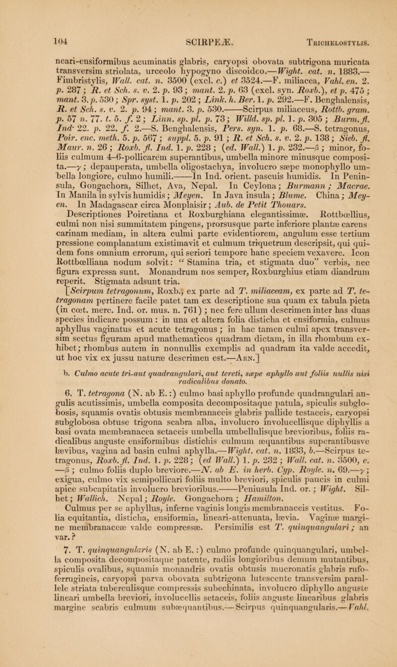 neari-ensiformibus acuminatis glabris, caryopsi obovata subtrigona muricata transversim striolata, urceolo hypogyno discoideo.—Wight. cat. n. 1883.— Fimbristylis, Wall. cat. n. 3500 (exci, c.) et 3524.—F. miliacea, Vahl. en. 2. p. 287; R. et Sch. s. v. 2. p. 93; mant. 2. p. 63 (exci. syn. Roxb.), et p. 475 ; mant. 3.p. 530; Spr. syst. 1. p. 202 ; Link. h. Ber. 1. p. 292.—F. Benghalensis, R. et Sch. s. v. 2. p. 94; mant. 3. p. 530.-Scirpus miliaceus, Rottb. gram. p. 57 n. 77. t. 5. f. 2; Linn. sp. pl. p. 73; Willd. sp. pl. 1. p. 305 ; Burm.fl. Ind’ 22. p. 22. f. 2.—S. Benghalensis, Pers. syn. 1. p. 68.—S. tetragonus, Poir. enc. meth. 5. p. 567; suppi. 5. p. 91 ; R. et Sch. s. v. 2. p. 138; Sieb. fl. Maur. n. 26 ; Roxb. fl. Ind. 1. p. 228 ; (ed. Wall.) 1. p. 232.—/3; minor, fo¬ liis culmum 4-6-pollicarem superantibus, umbella minore minusque composi¬ ta.—y; depauperata, umbella oligostachya, involucro saepe monophyllo um¬ bella longiore, culmo humili.-In Ind. orient. pascuis humidis. In Penin¬ sula, Gongachora, Silliet, Ava, Nepal. In Ceylona; Burmann; Macrae. In Manila in sylvis humidis; Meyen. In Java insula; Blume. China; Mey- en. In Madagascar circa Monplaisir; Aub. de Petit Thouars. Descriptiones Poiretiana et Roxburghiana elegantissimae. Rottbcellius, culmi non nisi summitatem pingens, prorsusque parte inferiore plantae carens carinam mediam, in altera culmi parte evidentiorem, angulum esse tertium pressione complanatum existimavit et culmum triquetrum descripsit, qui qui¬ dem fons omnium errorum, qui seriori tempore hanc speciem vexavere. Icon Rottbcelliana nodum solvit: “ Stamina tria, et stigmata duo” verbis, nec figura expressa sunt. Monandrum nos semper, Roxburghius etiam diandrum reperit. Stigmata adsunt tria. [Scirpum tetragonum, Roxb., ex parte ad T. miliaceam, ex parte ad T. te- tragonam pprtinere facile patet tam ex descriptione sua quam ex tabula picta (in ccet. mere. Ind. or. mus. n. 761) ; nec fere ullum descrimen inter has duas species indicare possum : in una et altera folia disticha et ensiformia, culmus aphyllus vaginatus et acute tetragonus ; in hac tamen culmi apex transver¬ sim sectus figuram apud mathematicos quadram dictam, in illa rhombum ex¬ hibet; rhombus autem in nonnullis exemplis ad quadram ita valde accedit, ut hoc vix ex jussu naturse descrimen est.—Arn.] b. Culmo acute tri-aut quadrangulari, aut tereti, saepe aphyllo aut foliis nullis nisi radicalibus donato. 6. T. tetragona (N. ab E.:) culmo basi aphyllo profunde quadrangulari an¬ gulis acutissimis, umbella composita decompositaque patula, spiculis subglo- bosis, squamis ovatis obtusis membranaceis glabris pallide testaceis, caryopsi subglobosa obtuse trigona scabra alba, involucro involucellisque diphyllis a basi ovata membranacea setaceis umbella umbellulisque brevioribus, foliis ra¬ dicalibus anguste ensiformibus distichis culmum aequantibus superantibusve laevibus, vagina ad basin culmi aphylla.— Wight. cat. n. 1833, b.—Scirpus te¬ tragonus, Roocb.fl. Ind. 1. p. 228; (ed Wall.) 1. p. 232; Wall. cat. n. 3500, c. '—jS ; culmo foliis duplo breviore.—N. ab E. in herb. Cyp. Royle. n. 69.—y; exigua, culmo vix semipollicari foliis multo breviori, spiculis paucis in culmi apice subcapitatis involucro brevioribus.-Peniusula Ind. or.; Wight. Sil- het; Wallich. Nepal; Royle. Gongachora ; Hamilton. Culmus per se aphyllus, inferne vaginis longis membranaceis vestitus. Fo- lia equitantia, disticha, ensiformia, lineari-attenuata, laevia. Vaginae margi¬ ne membranaceae valde compressae. Persimilis est T. quinquangulari; an var. ? 7. T. quinquangularis (N. ab E.:) culmo profunde quinquangulari, umbel¬ la composita decompositaque patente, radiis longioribus demum mutantibus, spiculis ovalibus, squamis monandris ovatis obtusis mucronatis glabris rufo- ferrugineis, caryopsi parva obovata subtrigona lutescente transversim paral¬ lele striata tuberculisque compressis subecliinata, involucro diphyllo anguste lineari umbella breviori, involucellis setaceis, foliis anguste linearibus glabris margine scabris culmum sub aequantibus.— Scirpus quinquangularis.— Vahl.