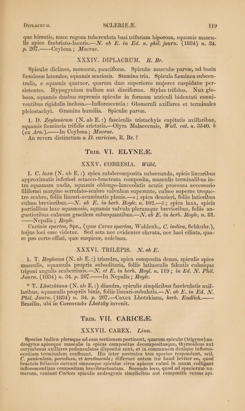 que hirsutis, nuce rugosa tuberculata basi trifariam biporosa, squamis mascu¬ lis apice fimbriato-laceris.—N. ab E. in Ed. n. phil. journ. (1834) n. 34. p. 267.-Ceylona; Macrae. XXXIV. DIPLACRUM. R. Br. Spiculse diclines, moncecse, pauciflorse. Spiculse masculse parvae, ad basin fceminese laterales, squamis scariosis. Stamina tria. Spicula fceminea subcen- tralis, e squamis quatuor, quarum duae superiores majores cuspidatae per¬ sistentes. Hypogynium nullum aut disciforme. Stylus trifidus. Nux glo¬ bosa, squamis duabus supremis spiculae in formam utriculi bidentati conni- ventibus rigidulis inclusa.—Inflorescentia : Glomeruli axillares et terminales pleiostachyi. Gramina humilia. Spiculae pame. 1. D. Zeylanicum (N. ab E.:) fasciculis tristachyis capitatis axillaribus, squamis fcemineis trifidis aristatis.—Olyra Malaccensis, Wall. cat. n. 3540. b (ex Arn.).-In Ceylona; Macrae. An revera distinctum a D. caricino, R. Br. ? Trib. VI. ELYNEiE. XXXV. COBRESIA. Willd. 1. C. laxa (N. ab E.:) spica subdecomposita subsecunda, spicis linearibus approximatis inferiori setaceo-bracteata composita, masculis terminalibus in¬ tra squamam nudis, squamis oblongo-lanceolatis acutis processu accessorio filiformi margine serrulato-scabro valvulam superante, culmo superne treque- tro scabro, foliis lineari-acuminatis planis.—; spica densiori, foliis latioribus culmo brevioribus.—N. ab E. in herb. Royle. n. 102.—/3; spica laxa, spicis partialibus laxe squamosis, squamis valvula plerumque brevioribus, foliis an¬ gustioribus culmum gracilem subsequantibus.—JV. ab E. in herb. Royle, n. 81. -Nepalia; Royle. Uncinia spartea, Spr,, (quae Carex spartea, Wahlenb., C. indica, Schkuhr.), hujus loci esse videtur. Sed seta nec evidenter clavata, nec basi ciliata, qua¬ re pro certo effari, quae suspicor, nolebam. XXXVI. TRILEPIS. N. ab E. 1. T. Royleana (N. ab E.:) triandra, spica composita densa, spiculis apice masculis, squamula propria subsolitaria, foliis latiusculis falcatis culmique trigoni angulis scaberrimis.—JV. et E. in herb. Royl. n. 119; in Ed. JV. Phil. Journ. (1834) n. 34. p. 267.-In Nepalia; Royle. * T. Lhotzkiana (N. ab E.:) diandra, spiculis simplicibus fasciculatis axil¬ laribus, squamulis propriis binis, foliis lineari-subulatis.—N. ab E. in Ed. JV. Phil. Journ. (1834) n. 34. p. 267.—Caxex Lhotzkiana, herb. Endlich.- Brasilia, ubi in Corcovado Lhotzky invenit. Trib. VII. CARICEiE. XXXVII. CAREX. Linn. Species Indicae pleraeque ad eam sectionem pertinent, quarum spiculae (trigynae) an~ drogynae apiceque masculae in spicas compositas decompositasque, thyrsoideas aut corymbosas axillares pedunculatas dispositae sunt, et in communem denique inflores¬ centium terminalem confluunt. His inter nostrates tres species respondent, scii. C. paniculata, paradoxa, et teretiuscula; differunt autem itae haud leviter eo, quod bracteis foliaceis careant omnesque spiculas circa apicem culmi in unam colligant inflorescentium compositam brevibracteatam. Secondo loco, quod ad specierum nu¬ merum, veniunt Carices spiculis androgynis simplicibus aut compositis versus api-