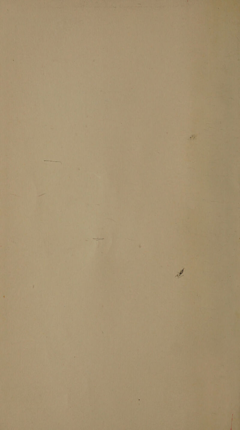 a he Ne vl 4 in * eit? Faden