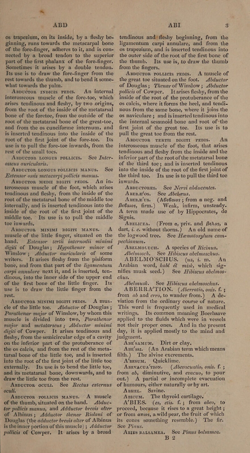 ' os trapezium, on its inside, by a fleshy be- ginning, runs towards the metacarpal bone of the fore-finger, adheres to it, and is con- nected by a broad tendon to the superior part of the first phalanx of the fore-finger. Sometimes it arises by a double tendon. Its use is to draw the fore-finger from the rest towards the thumb, and to bend it some- what towards the palm. Aspuctor iNpicis Peps. An internal interosseous muscle of the fore-toe, which arises tendinous and fleshy, by two origins, from the root of the inside of the metatarsal bone of the foretoe, from the outside of the root of the metatarsal bone of the great-toe, and from the os cuneiforme internum, and is inserted tendinous into the inside of the root of the first joint of the fore-toe. Its use is to pull the fore-toe inwards, from the rest of the small toes. AxpUCTOR LONGUS POLLICIS. osseus auricularis. See Inter- ABDUCTOR LONGUS POLLICIS MANUS. See Extensor ossis metacarpi pollicis manus. ABDUCTOR MEDII DIGITI PEDIS. An in- terosseous muscle of the foot, which arises tendinous and fleshy, from the inside of the root of the metatarsal bone of the middle toe internally, and is inserted tendinous into the inside of the root of the first joint of the middle toe. ~ Its use is to pull the middle toe inwards. AxBDUCTOR MINIMI DIGITI MANuUs. A muscle of the little finger, situated on the hand. Extensor tertti internodit minimi digiti of Douglas; Hypothenar minor of Winslow ; Abductor auricularis of some writers. bone, and from that part of the ligamentum carpi annulare next it, and is inserted, ten- dinous, into the inner side of the upper end of the first bone of the little finger. Its use is to draw the little finger from the rest. ABDUCTOR MINIMI DIGITI PEDIs. A mus- cle of the little toe. .Abductor of Douglas ; Parathenar major of Winslow, by whom this muscle is divided into two, Parathenar major and metatarseus ; Abductor minim digiti of Cowper. It arises tendinous and fleshy, from the semicircular edge of a cavity on the inferior part of the protuberance of the os calcis, and from the rest of the meta- tarsal bone of the little toe, and is inserted into the root of the first joint of the little toe externally. Its use is to bend the little toe, and its metatarsal bone, downwards, and to draw the little toe from the rest. _ Aspucror ocut1. See Rectus erternus ocult. . AspuUCTOR POLLICIS MANUS. A muscle of the thumb, situated on the hand. -ddduc- tor pollicis manus, and Adductor brevis alter Douglas (the adductor brevis alter of Albinus is the inner portion of this muscle) ; Adductor pollicis of Cowper. It arises by a broad ABI 3 tendinous and fleshy beginning, from the ligamentum carpi annulare, and from the os trapezium, and is inserted tendinous into the outer side of the root of the first bone of the thumb. Its use is, to draw the thumb from the fingers. Axspucror potiicis penis. A muscle of the great toe situated on the foot. Abductor of Douglas; Thenar of Winslow ; Abductor pollicis of Cowper. It arises fleshy, from the inside of the root of the protuberance of the os calcis, where it forms the heel, and tendi- nous from the same bone, where it joins the os naviculare ; and is inserted tendinous into the internal sesamoid bone and root of-the first joint of the great toe. Its use is to pull the great toe from the rest. ABDUCTOR TERTILT DIGITI PEDIS. An interosseous muscle of the foot, that arises tendinous and fleshy from the inside and the inferior part of the root of the metatarsal bone of the third toe; and is inserted tendinous into the inside of the root of the first joint of the third toe. Its use is to pull the third toe inwards. Azspuctorgrs. See Nervi abducentes. Axzrza/os, See Abebeus. Azsesm'us. (A€e6a0s ; from a neg. and Be6atos, firm.) Weak, infirm, unsteady. A term made use of by Hippocrates, de Signis. AxELIcEA. (From a, priv. and Bedos, a dart, 7. ee without thorns.) An old name of the logwood tree. See Hematoxylum cam- pechianum. ABELMoLUcH. A species of Ricinus. Abelmosch. See Hibiscus abelmoschus. ABELMO'SCHUS. (us, i. m. An Arabian word, habl él misk, which sig- nifies musk seed.) See Hibiscus abelmos- chus. Abelmusk. See Hibiscus abelmoschus. ABERRATION. (Aberratio, onis. f. 3 from ab and erro, to wander from.) A de- viation from the ordinary course of nature. This word is frequently used in medical writings, Its common meaning Boerhaave applied to the fluids which were in vessels not their proper ones. And in the present day, it is applied mostly to the mind and judgment. Azse’samum, Dirt or clay. Aze’sst.. (An Arabian term which means filth.) The alvine excrements. A’srsum. Quicklime. Asgevacua’tion. (Abevacuatio, onis. f. ; from ab, diminutive, and evacuo, to pour out.) <A partial or incomplete evacuation of humours, either naturally or by art. ABHEL. Savine. Azicum. The thyroid cartilage. A'BIES. (es, etis. f.; from abeo, to proceed, because it rises to a great height ; or from amos, a wild pear, the fruit of which its cones something resemble.) The fir. See Pinus. Axpies BALSAMEA. See Pinus balsamea.