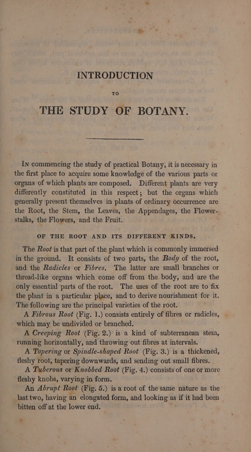 INTRODUCTION TO THE STUDY OF BOTANY. In commencing the study of practical Botany, it is necessary in the first place to acquire some knowledge of the various parts or organs of which plants are composed. Different plants are very differently constituted in this respect; but the organs which generally present themselves in plants of ordinary occurrence are the Root, the Stem, the Leaves, the Appendages, the Flower- - stalks, the Flowers, and the Fruit. OF THE ROOT AND ITS DIFFERENT KINDS. The Root is that part of the plant which is commonly immersed in the ground. It consists of two parts, the Body of the root, and the Radicles or Fibres. The latter are small branches or thread-like organs which come off from the body, and are the only essential parts of the root. The uses of the root are to fix the plant in a particular place, and to derive nourishment for it. The following are the principal varieties of the root. A Fibrous Root (Fig. 1.) consists entirely of fibres or radicles, - which may be undivided or branched. A Creeping Root (Fig. 2.) is a kind of subterranean stem, running horizontally, and throwing out fibres at intervals. A Tapering or Spindle-shaped Root (Fig. 3.) is a thickened, fleshy root, tapering downwards, and sending out small fibres. A Tuberous or Knobbed Root (Fig. 4.) consists of one or more fleshy knobs, varying in form. An Abrupt Root (Fig. 5.) is a root of the same nature as the last two, having an elongated form, sed looking as = it had been bitten off at the lower end.