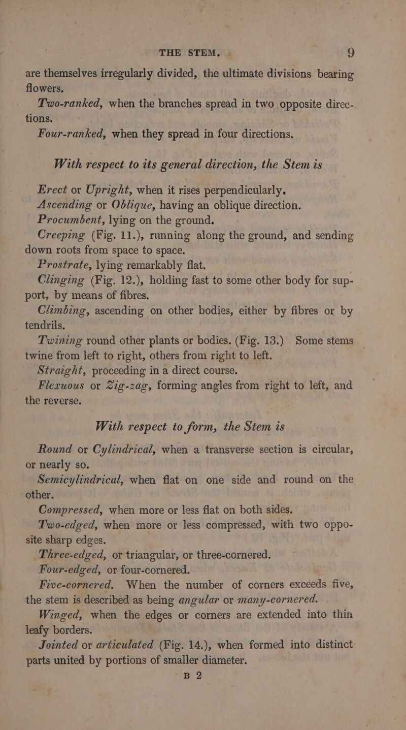 are themselves irregularly divided, the ultimate divisions bearing flowers. Two-ranked, when the branches spread in two opposite direc- tions. - Four-ranked, when they spread in four directions. With respect to its general direction, the Stem is Erect or Upright, when it rises perpendicularly. Ascending or Oblique, having an oblique direction. Procumbent, lying on the ground. Creeping (Fig. 11.), running along the ground, and sending down roots from space to space. Prostrate, lying remarkably flat. Clinging (Fig. 12.), holding fast to some other body for sup- port, by means of fibres. Climbing, ascending on other bodies, either by fibres or by tendrils. Twining round other plants or bodies. (Fig. 13.) Some stems twine from left to right, others from right to left. Straight, proceeding in a direct course. Fleruous or Sig-zag, forming angles from right to left, and the reverse. With respect to form, the Stem is Round or Cylindrical, when a transverse section is circular, or nearly so. . Semicylindrical, when flat on one side and round on the other. Compressed, when more or less flat on both sides. Two-edged, when more or less compressed, with two oppo- site sharp edges. Three-edged, or triangular, or three-cornered. Poiarsdred, or four-cornered. Five-cornered. When the number of corners exedelts five, the stem is described as being angular or many-cornered. Winged, when the edges or corners are extended into thin leafy borders. Jointed or articulated (Fig. 14.), when formed into distinct parts united by portions of smaller diameter. B 2
