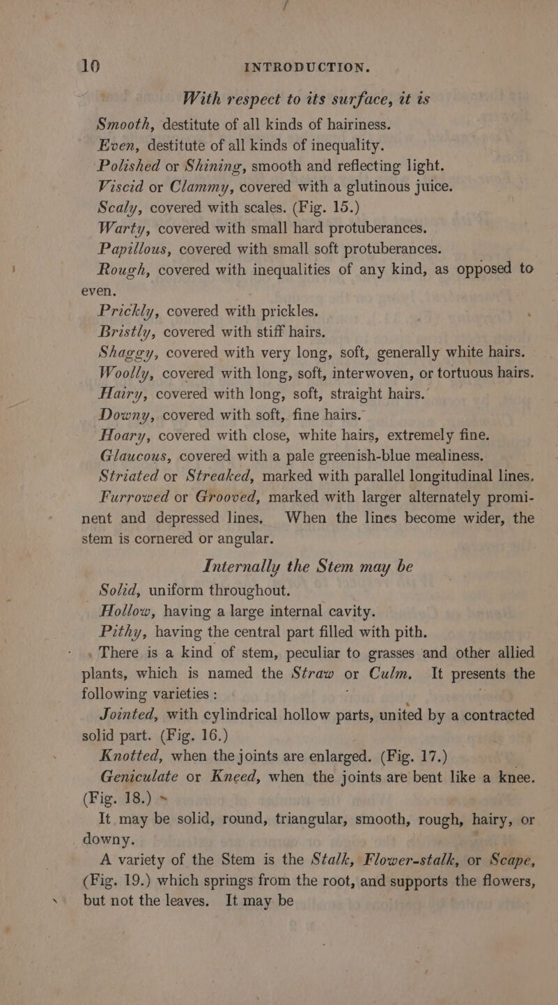 With respect to its surface, wt ts Smooth, destitute of all kinds of hairiness. Even, destitute of all kinds of inequality. Polished or Shining, smooth and reflecting light. Viscid or Clammy, covered with a glutinous juice. Scaly, covered with scales. (Fig. 15.) Warty, covered with small hard protuberances. Papillous, covered with small soft protuberances. Rough, covered with inequalities of any kind, as opposed to even. Prickly, covered with prickles. Bristly, covered with stiff hairs. Shaggy, covered with very long, soft, generally white hairs. Woolly, covered with long, soft, interwoven, or tortuous hairs. Haury, covered with long, soft, straight hairs.’ Downy, covered with soft, fine hairs. Hoary, covered with close, white hairs, extremely fine. Glaucous, covered with a pale greenish-blue mealiness. Striated or Streaked, marked with parallel longitudinal lines. Furrowed or Grooved, marked with larger alternately promi- nent and depressed lines, When the lines become wider, the stem is cornered or angular. Internally the Stem may be Solid, uniform throughout. _ Hollow, haying a large internal cavity. Pithy, having the central part filled with pith. . There is a kind of stem, peculiar to grasses and other allied plants, which is named the Straw or Culm. It presents the following varieties : Jointed, with cylindrical hollow parts, united by a contracted solid part. (Fig. 16.) Knotted, when the joints are enlarged. (Fig. 17.) Geniculate or Kneed, when the joints are bent like a knee. (Fig. 18.) » It may be solid, round, triangular, smooth, odie hairy, or downy. A variety of the Stem is the Stalk, Flower-stalk, or Scape, (Fig. 19.) which springs from the root, and supports the flowers, but not the leaves. It may be