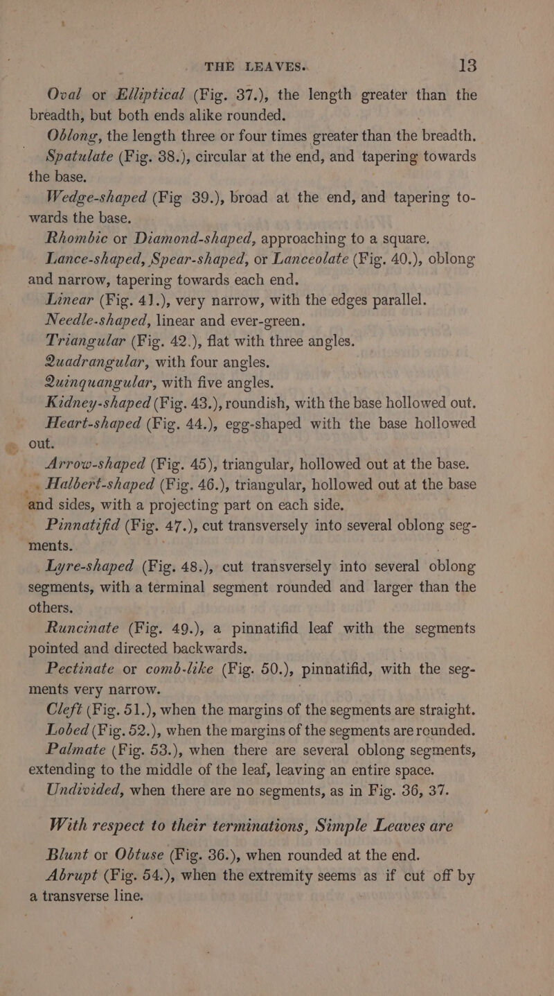 Oval or Elliptical (Fig. 37.), the length greater than the breadth, but both ends alike rounded. Od/ong, the length three or four times greater than the breadth. Spatulate (Fig. 38.), circular at the end, and tapering towards the base. Wedge-shaped (Fig 39.), broad at the end, and tapering to- wards the base. Rhombic or Diamond-shaped, approaching to a square. Lance-shaped, Spear-shaped, or Lanceolate (Fig. 40.), oblong and narrow, tapering towards each end. Linear (Fig. 41.), very narrow, with the edges parallel. Needle-shaped, \inear and ever-green. Triangular (Fig. 42.), flat with three angles. Quadrangular, with four angles. Quinquangular, with five angles. Kidney-shaped (Fig. 43.), roundish, with the base hollowed out. Heart-shaped (Fig. 44.), egg-shaped with the base hollowed out. _ Arrow-shaped (Fig. 45), triangular, hollowed out at the base. ‘and sides, with a projecting part on each side. Pinnatifid (Fig. Af. ), cut transversely into several oblong seg- ments. _Lyre-shaped (Fig. 48.), cut transversely into several oblong segments, with a terminal segment rounded and larger than the others. Runcinate (Fig. 49.), a pinnatifid leaf with the segments pointed and directed backwards. Pectinate or comb-like (Fig. 50.), Pinnatifid, oat the seg- ments very narrow. Cleft (Fig. 51.), when the margins of the segments are straight. Lobed (Fig. 52.), when the margins of the segments are rounded. Palmate (Fig. 53.), when there are several oblong segments, extending to the middle of the leaf, leaving an entire space. Undivided, when there are no segments, as in Fig. 36, 37. With respect to their terminations, Simple Leaves are Blunt or Odtuse (Fig. 36.), when rounded at the end. Abrupt (Fig. 54.), when the extremity seems as if cut off by