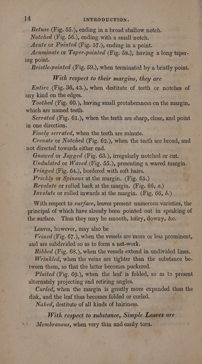 Retuse (Fig. 55.), ending in a broad shallow notch. Notched (Fig. 56.), ending with a small notch. Acute or Pointed (Fig. 57.), ending in a point. Acuminate or Taper-pointed (Fig. 58.), having a long taper- ing point. Bristle-pointed (Fig. 59.), when terminated by a bristly point. With respect to their margins, they are Entire (Fig. 36, 43.), when destitute of teeth or notches of any kind on the edges. Toothed (Fig. 60.), having small protuberances on the margin, which are named teeth. Serrated (Fig. 61.), when the teeth are sharp, close, and point | in one direction. Finely serrated, when the teeth are minute. Crenate or Notched (Fig. 62.), when the tecth are broad, and not directed towards either end. Gnawed or Jagged (Fig. 63.), irregularly notched or cut. __ Undulated or Waved (Fig. 55.), presenting a waved margin. Fringed (Fig. 64.), bordered with soft hairs. Prickly or Spinous at the margin. (Fig. 65.) Revolute or rolied back at the margin. (Fig. 66, a.) Involute or rolled inwards at the margin. (Fig. 66, 4.) With respect to surface, leaves present numerous varieties, the principal of which have already been pointed out in speaking of the surface. Thus they may be smooth, hairy, downy, &amp;c. Leaves, however, may also be Veined (Fig. 67.), when the vessels are more or less prominent, and are subdivided so as to form a net-work. Ribbed (Fig. 68.), when the vessels extend in undivided lines. Wrinkled, when the veins are tighter than the substance be- {ween them, so that the latter becomes puckered. Plaited (Fig. 69.), when the leaf is folded, so as to present alternately projecting and retiring angles. Curled, when the margin is greatly more expanded than the disk, and the leaf thus becomes folded or curled. Naked, destitute of all kinds of hairiness. With respect to substance, Simple Leaves are Membranous, when very thin and easily torn.