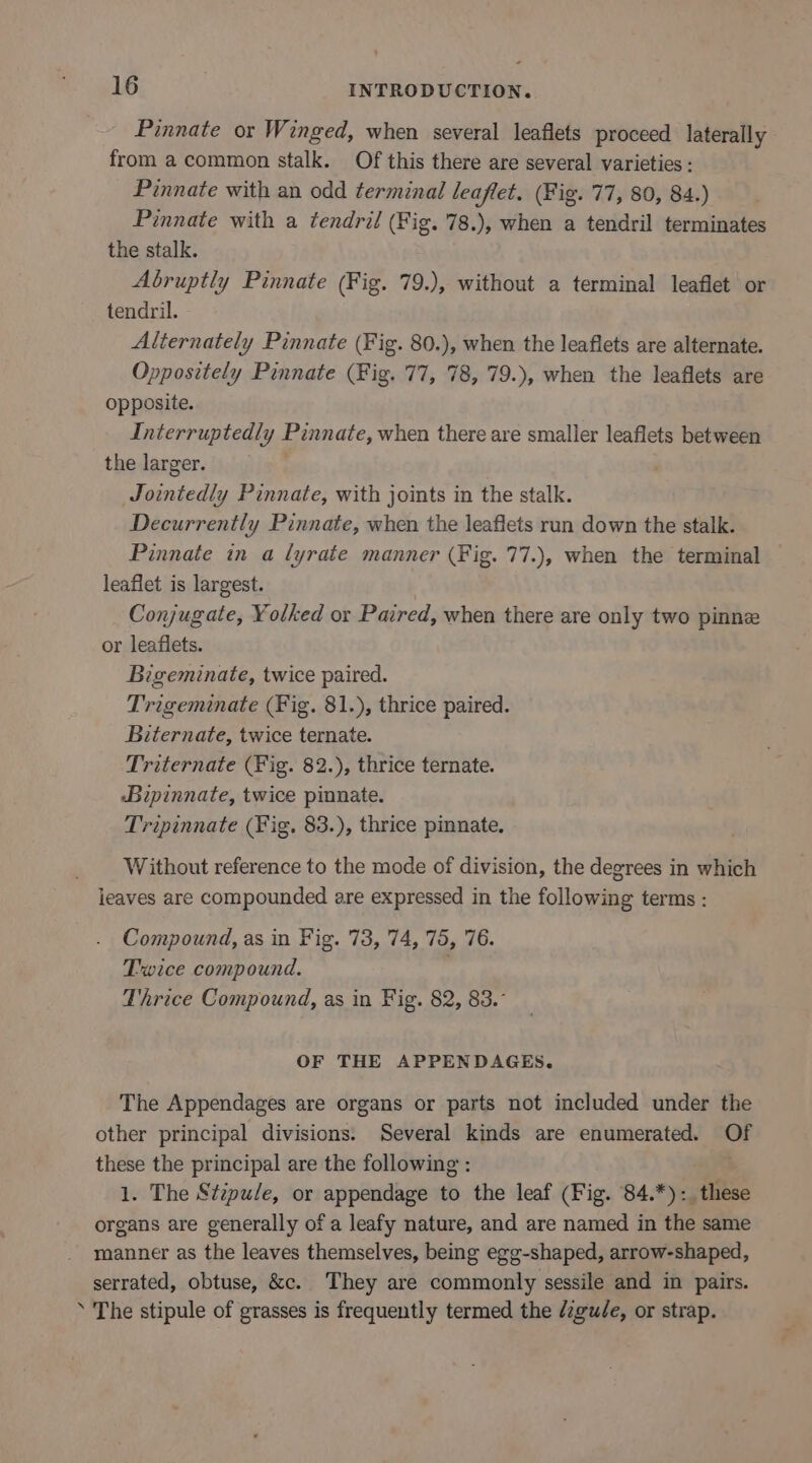 Pinnate or Winged, when several leaflets proceed laterally from a common stalk. Of this there are several varieties : Pinnate with an odd terminal leaflet. (Fig. 77, 80, 84.) Pinnate with a tendril (Fig. 78.), when a tendril terminates the stalk. Abruptly Pinnate (Fig. 79.), without a terminal leaflet or tendril. Alternately Pinnate (Fig. 80.), when the leaflets are alternate. Oppositely Pinnate (Fig. 77, 78, 79.), when the leaflets are opposite. Interruptedly Pinnate, when there are smaller leaflets between the larger. . _Jointedly Pinnate, with joints in the stalk. Decurrently Pinnate, when the leaflets run down the stalk. Pinnate in a lyrate manner (Fig. 77.), when the terminal leaflet is largest. Conjugate, Yolked or Paired, when there are only two pinne or leaflets. Bigeminate, twice paired. Trigeminate (Fig. 81.), thrice paired. Biternate, twice ternate. Triternate (Fig. 82.), thrice ternate. Bipinnate, twice pinnate. Tripinnate (Fig. 83.), thrice pinnate. Without reference to the mode of division, the degrees in which leaves are compounded are expressed in the following terms : Compound, as in Fig. 73, 74, 75, 76. Twice compound. Thrice Compound, as in Fig. 82, 83.° OF THE APPENDAGES. The Appendages are organs or parts not included under the other principal divisions. Several kinds are enumerated. Of these the principal are the following : 1. The Stipule, or appendage to the leaf (Fig. 84.*): these organs are generally of a leafy nature, and are named in the same manner as the leaves themselves, being egg-shaped, arrow-shaped, serrated, obtuse, &amp;c. They are commonly sessile and in pairs. ’ The stipule of grasses is frequently termed the d¢gude, or strap.