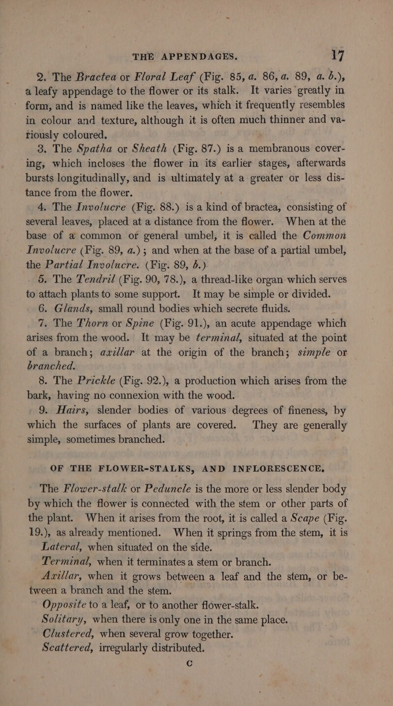 2. The Bractea or Floral Leaf (Fig. 85, a. 86,4. 89, a. d.), a leafy appendage to the flower or its stalk. It varies greatly in - form, and is named like the leaves, which it frequently resembles in colour and texture, although it is often much thinner and va- riously coloured. 3. The Spatha or Sheath (Fig. 87.) is a membranous cover- ing, which incloses the flower in its earlier stages, afterwards bursts longitudinally, and is sehaniali at a greater or less dis- tance from the flower. 4, The Involucre (Fig. 88.) isa kind of bractea, consisting of several leaves, placed at a distance from the flower. When at the base of a common or general umbel, it is called the Common Involucre (Fig. 89, a.) ; and when at the base of a partial umbel, the Partial Involucre. (Fig. 89, 5.) o. The Tendril (Fig. 90, 78.), a thread-like organ which serves to attach plants to some support. It may be simple or divided. 6. Glands, small round bodies which secrete fluids. 7. The Thorn or Spine (Fig. 91.), an acute appendage which arises from the wood. It may be termznal, situated at the point of a branch; axrz/ar at the origin of the branch; szmple or branched. 8. The Prickle (Fig. 92.), a production which arises from the bark, having no connexion with the wood. _ 9. Hairs, slender bodies of various degrees of fineness, by which the surfaces of plants are covered. They are generally simple, sometimes branched. OF THE FLOWER-STALKS, AND INFLORESCENCE, The Flower-stalk or Peduncle is the more or less slender body by which the flower is connected with the stem or other parts of the plant. When it arises from the root, it is called a Scape (Fig. 19.), as already mentioned. When it springs from the stem, it is Lateral, when situated on the side. Terminal, when it terminates a stem or branch. Azillar, when it grows between a leaf and the stem, or be- tween a branch and the stem. Opposite to a leaf, or to another flower-stalk. Solitary, when there is only one in the same place. Clustered, when several grow together. Scattered, irregularly distributed. Cc