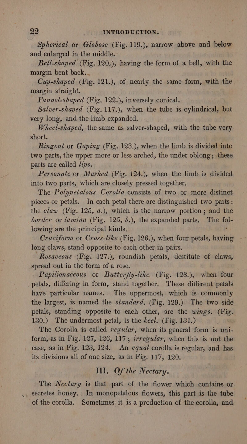 Spherical or Globose (Fig, 119.), narrow above and below and enlarged in the middle. Bell-shaped (Fig. 120.), having the form of a bell, with the margin bent back. Cup-shaped. (Fig. 121.), of nearly the same form, with the margin straight. Funnel-shaped (Fig, 122.), inversely conical. Salver-shaped (Fig. 117.), when the tube is silat but very Jong, and the limb expanded. Wheel-shaped, the same as salver-shaped, with the tube very short. Ringent or Gaping (Fig. 123.), when the limb is divided into two parts, the upper more or less arched, the under oblong; these parts are called /zps. Personate or Masked (Fig. 124.), when the limb is divided into two parts, which are closely pressed together. The Polypetalous Corolla consists of two or more distinct pieces or petals. In each petal there are distinguished two parts: the claw (Fig. 125, a.), which is the narrow portion; and the border or lamina (Fig. 125, 6.), the expanded parts. The fol- lowing are the principal kinds. , Cruciform or Cross-like (Fig. 126.), when four petals, having long claws, stand opposite to each other in pairs. Rosaceous (Fig. 127.), roundish petals, destitute of claws, spread out in the form of a rose. Papilionaceous or Butterfly-like (Fig. 128.), when four . petals, differing in form, stand together. These different petals have particular names. The uppermost, which is commonly the largest, is named the standard, (Fig. 129.) The two side petals, standing opposite to each other, are the wings. (Fig. 130.) The undermost petal, is the keel. (Fig. 131.) The Corolla is called regu/ar, when its general form is uni- form, as in Fig. 127, 126, 117; trregudar, when this is not the case, as in Fig. 123, 124. An equal corolla is regular, and has its divisions all of one size, as in Fig. 117, 120. Ill. Of the Nectary. The Nectary is that part of the flower which contains or secretes honey. In monopetalous flowers, this part is the tube of the corolla. Sometimes it is a production of the corolla, and