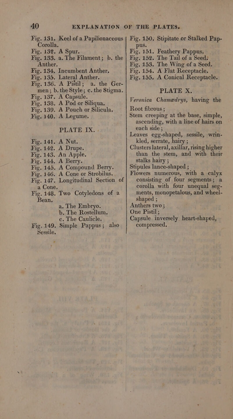 Fig. 131. Keel of a Papilionaceous Corolla. Fig. 132. A Spur. Fig. 133. a. The Filament; b. the Anther. Fig. 134. Incumbent Anther. Fig. 135. Lateral Anther. Fig, 136. A Pistil; a. the Ger- men; b. the Style; c. the Stigma. Fig. 137. A Capsule. Fig. 138. A Pod or Siliqua. Fig. 139. A Pouch or Silicula. Fig. 140. A Legume. PLATE IX. . A Nut. A Drupe. An Apple. A Berry. A Compound Berry. A Cone or Strobilus. Longitudinal Section of 141. 142. 143. 14.4. 145. Fig, 146. Fig. 147. a Cone. Fig. 148. Bean. Fig. Fig. Fig. Fig. Fig. Two Cotyledons of a a. The Embryo. b. The Rostellum. c. The Caulicle. Fig. 149. Simple Pappus; also Sessile. , Fig. 150. Stipitate or Stalked Pap- us. a) 151. Feathery Pappus. Fig. 152. The Tail of a Seed: Fig. 153. The Wing of a Seed. Fig. 154. A Flat Receptacle. | Fig. 155. A Conical Receptacle. PLATE X. Veronica Chamedrys, having the Root fibrous ; Stem creeping at the base, simple, ascending, with a line of hairs on each side ; Leaves egg-shaped, sessile, wrin- kled, serrate, hairy ; Clusters lateral, axillar, rising higher than the stem, and with their stalks hairy ; Stipules lance-shaped ; Flowers numerous, with a calyx consisting of four segments; a corolla with four unequal seg- ments, monopetalous, and wheel- shaped ; Anthers two ; One Pistil ; Capsule inversely heart-shaped, compressed.