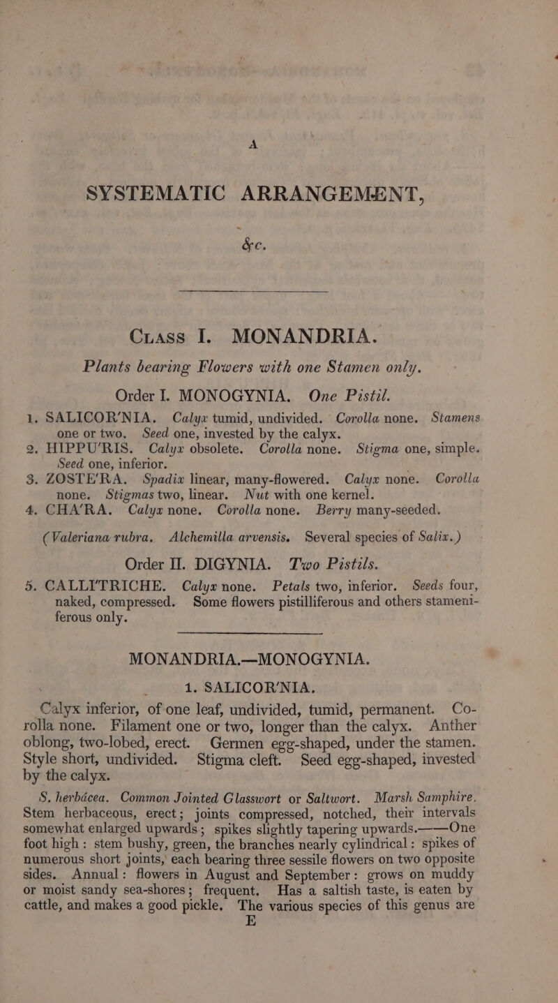 A SYSTEMATIC ARRANGEMENT, &gt; &amp;c. Crass I. MONANDRIA. Plants bearing Flowers with one Stamen only. Order I. MONOGYNIA. One Pistzl. 1. SALICOR’NIA. Calyx tumid, undivided. Corolla none. Stamens one or two. Seed one, invested by the calyx. 2. HIPPU’RIS. Calyx obsolete. Corolla none. Stigma one, simple. Seed one, inferior. 3. ZOSTE’RA. Spadiw linear, many-flowered. Calyx none. Corolla none. Stigmas two, linear. Nut with one kernel. 4. CHA’RA. Calyxnone. Corolla none. Berry many-seeded. (Valeriana rubra, Alchemilla arvensis. Several species of Salix.) Order II. DIGYNIA. Two Pistils. 5. CALLI'TRICHE. Calyx none. Petals two, inferior. Seeds four, naked, compressed. Some flowers pistilliferous and others stament- ferous only. MONANDRIA.—MONOGYNIA. 1. SALICOR'NIA, Calyx inferior, of one leaf, undivided, tumid, permanent. Co- rolla none. Filament one or two, longer than the calyx. Anther oblong, two-lobed, erect. Germen egg-shaped, under the stamen. Style short, undivided. Stigma cleft. Seed egg-shaped, invested by the calyx. S. herbdcea. Common Jointed Glasswort or Saltwort. Marsh Samphire. Stem herbaceous, erect; joints compressed, notched, their intervals somewhat enlarged upwards; spikes slightly tapering upwards.——One foot high: stem bushy, green, the branches nearly cylindrical : spikes of numerous short joints, each bearing three sessile flowers on two opposite sides.. Annual: flowers in August and September: grows on muddy or moist sandy sea-shores; frequent. Has a saltish taste, is eaten by cattle, and makes a good pickle, The various species of this genus are E